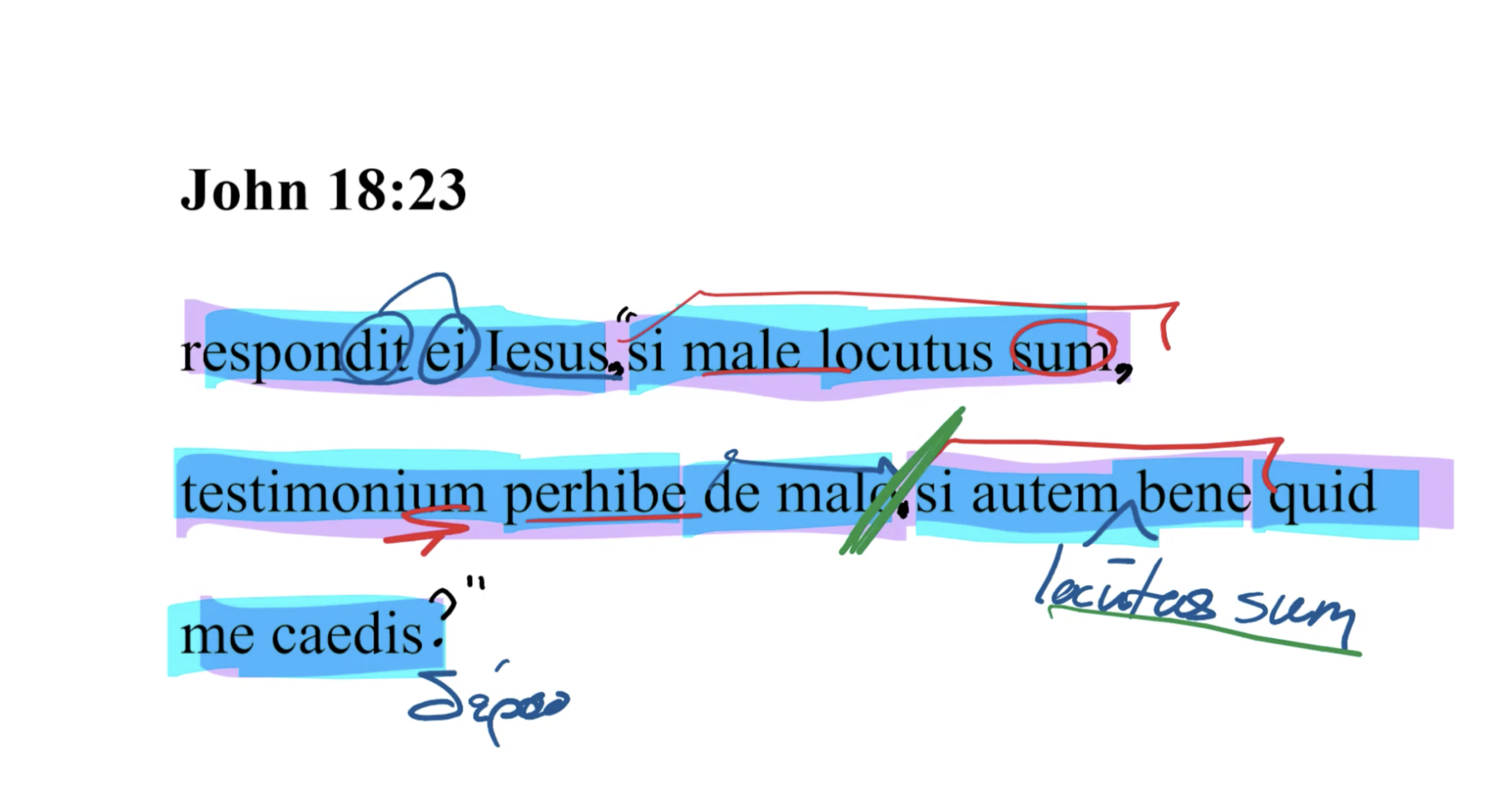 John 18:23 Latin Vulgate