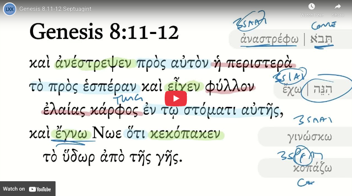 Genesis 8.11-12 Septuagint