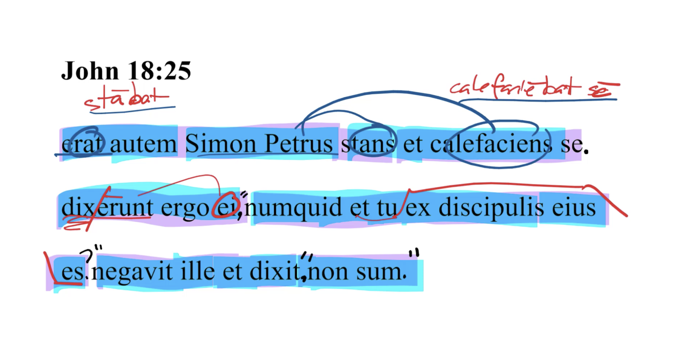 John 18:25 Latin Vulgate