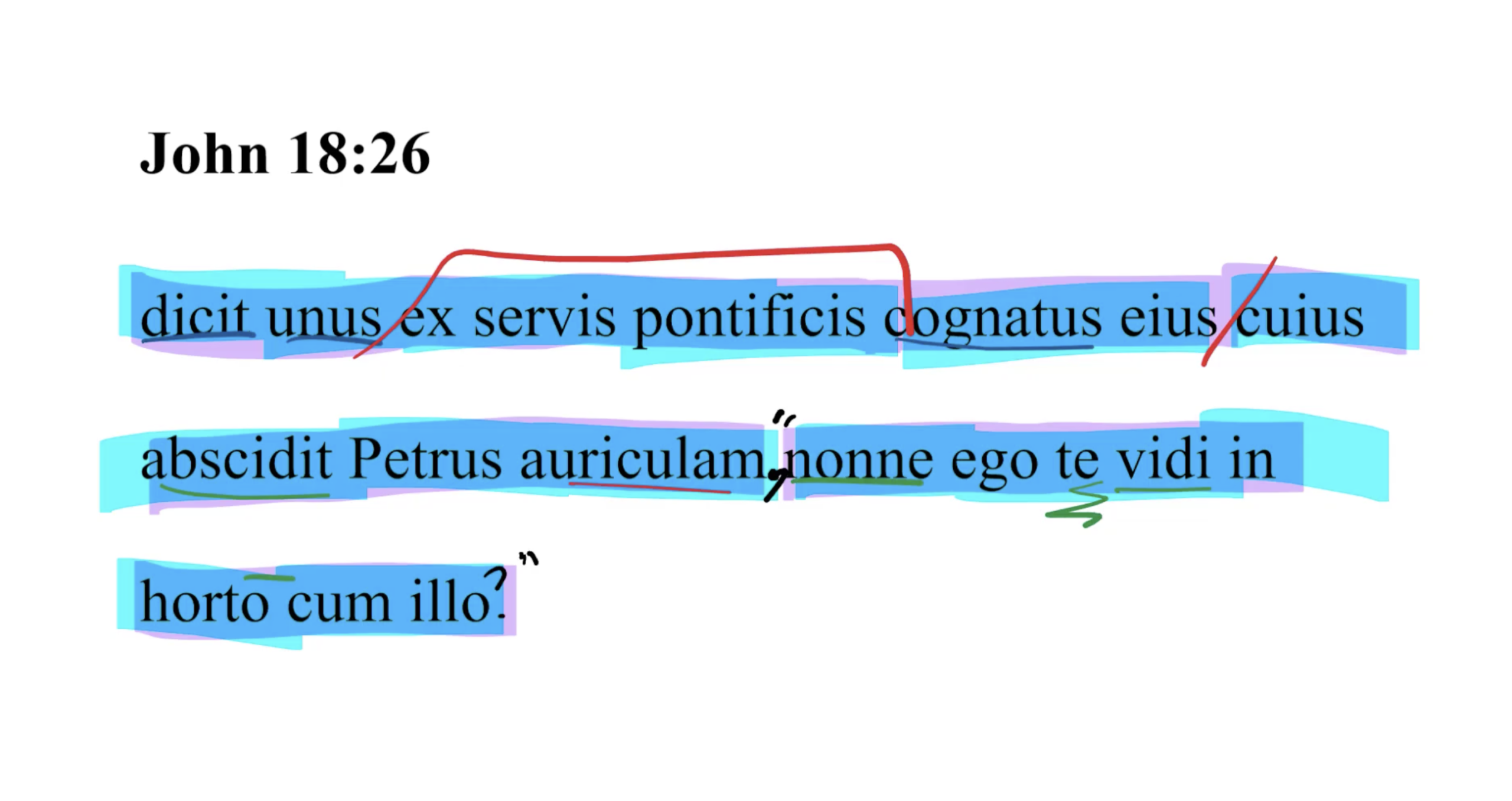John 18:26 Latin Vulgate