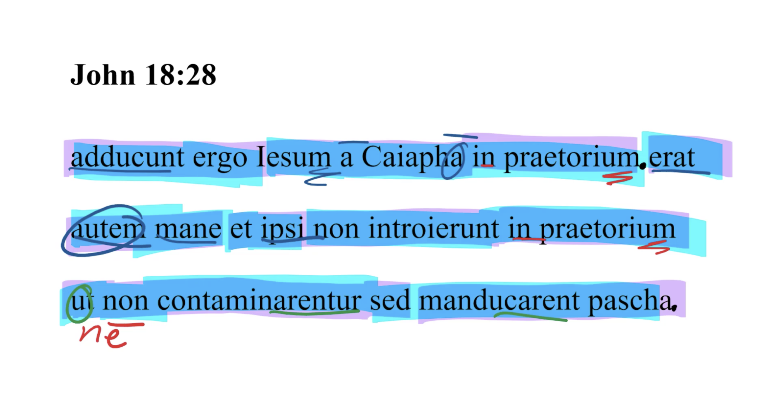 John 18:28 Latin Vulgate