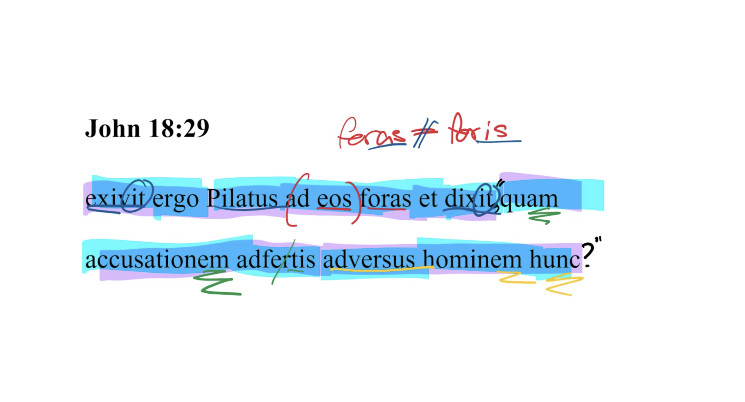 John 18:29 Latin Vulgate