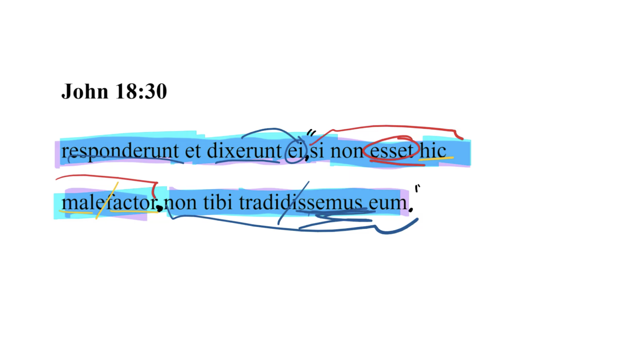 John 18:30 Latin Vulgate