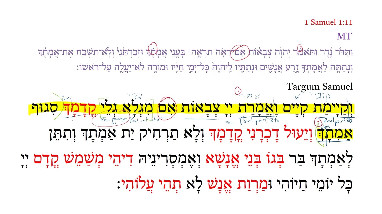 Targum 1 Samuel 1:11a