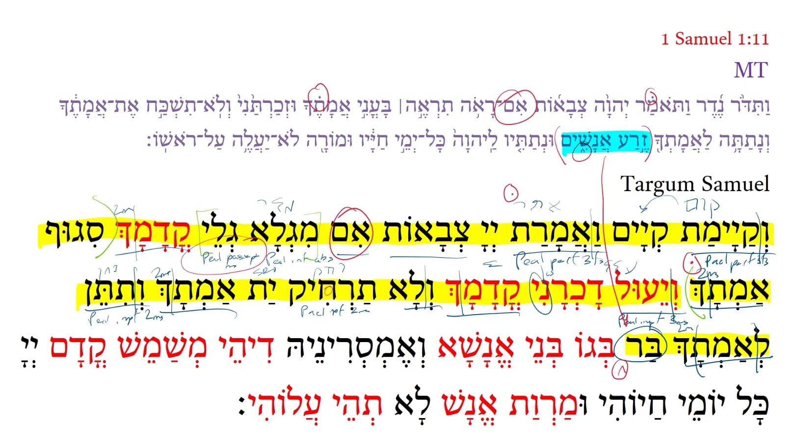 Targum 1 Samuel 1:11b