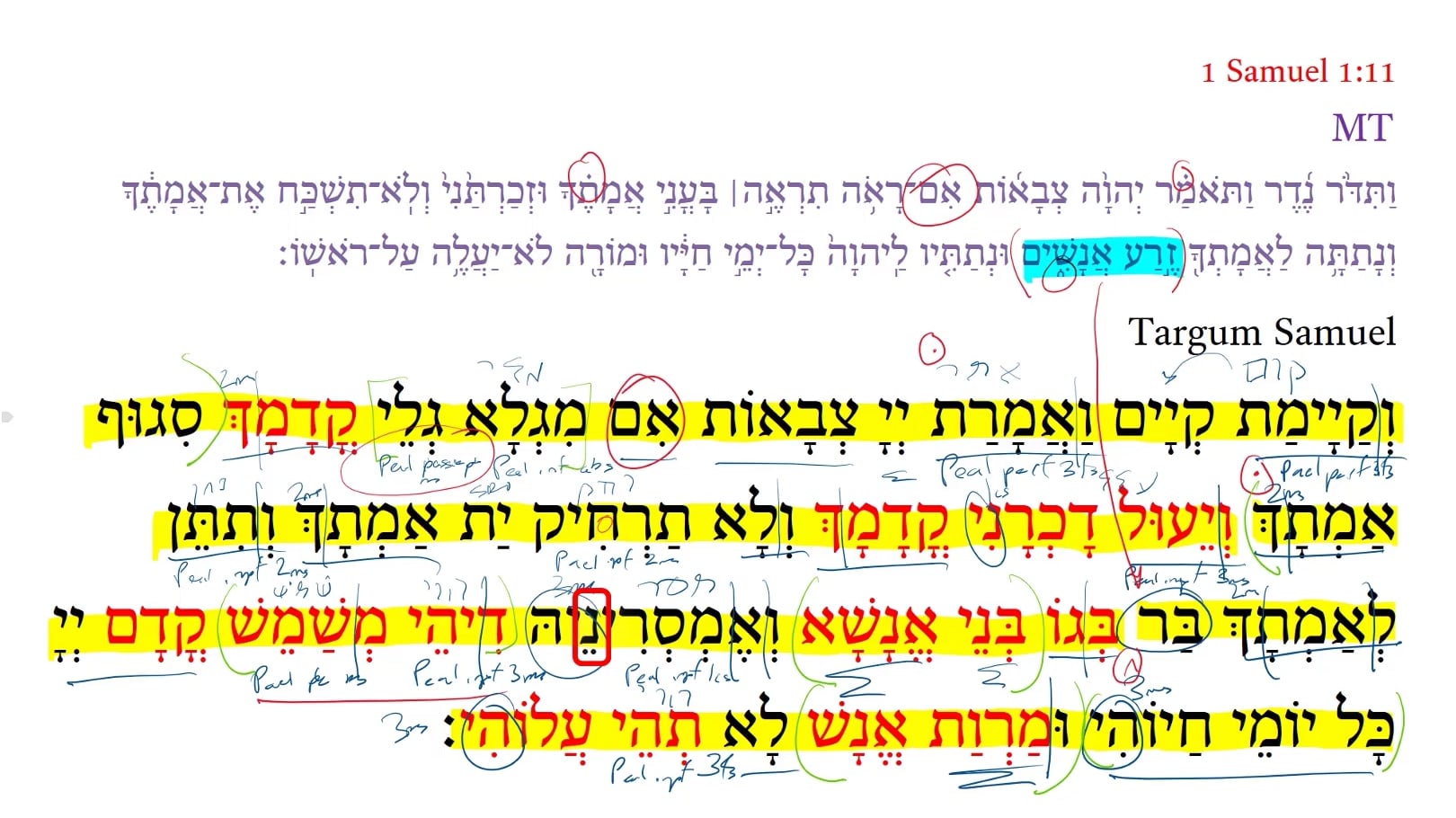 Targum 1 Samuel 1:11c