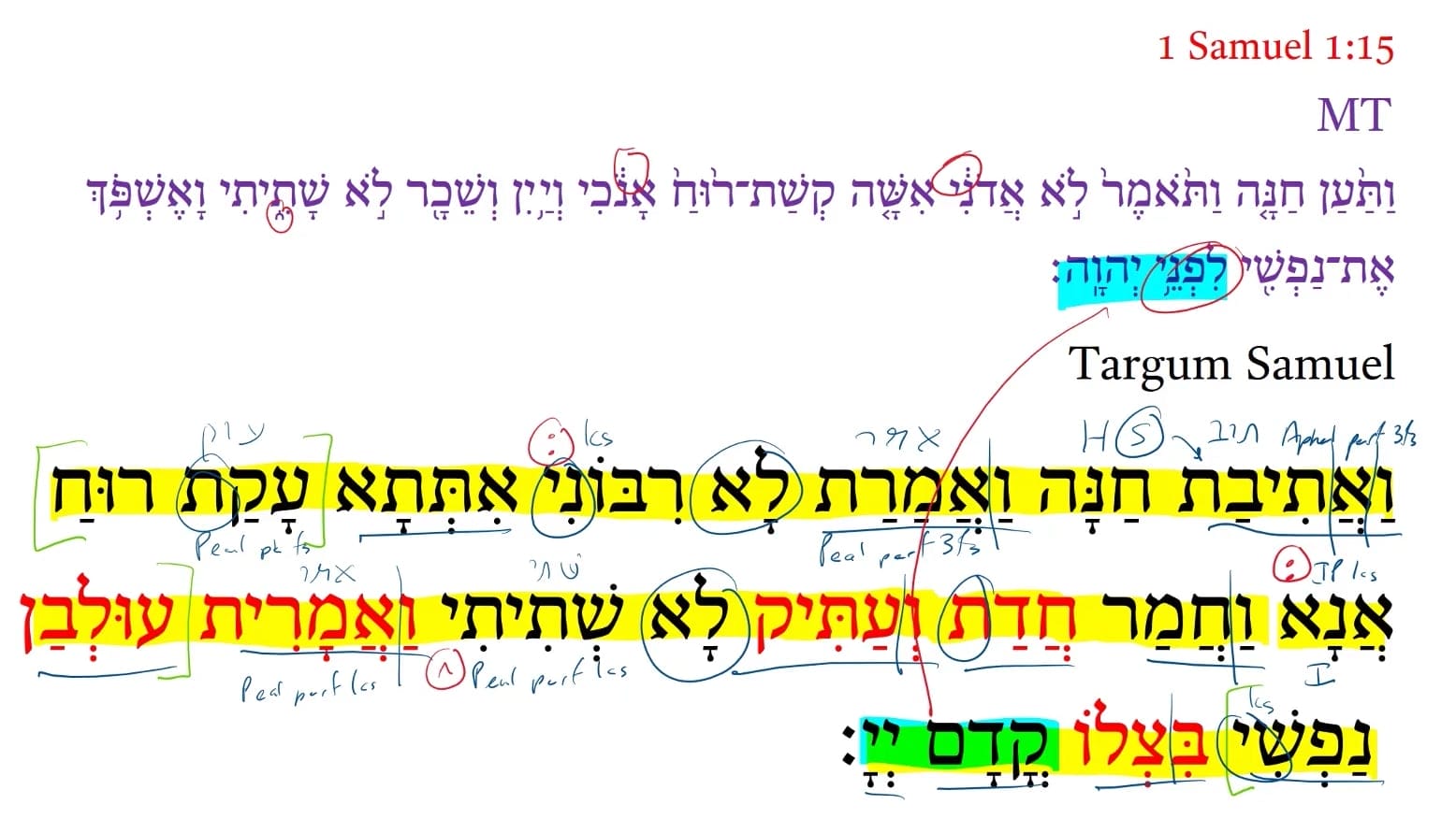 Targum 1 Samuel 1:15b