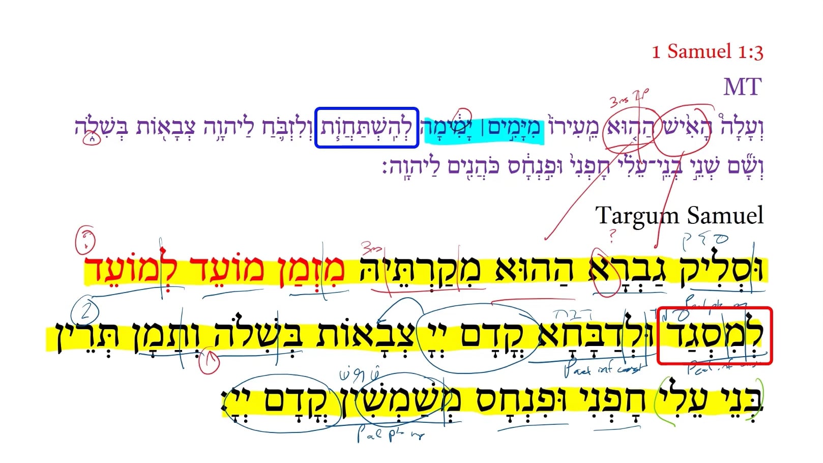 Targum 1 Samuel 1:3b