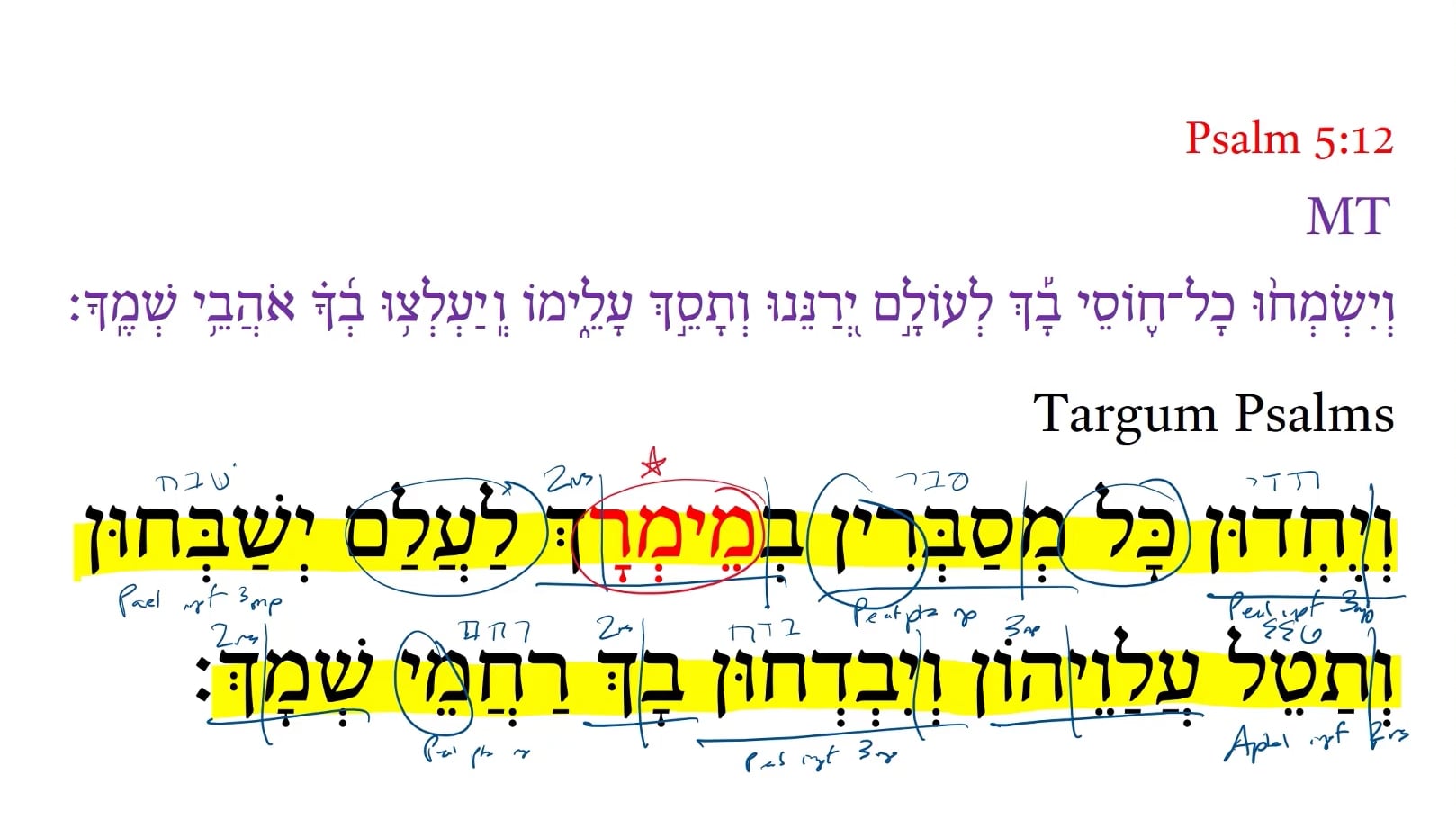 Targum Psalm 5:12