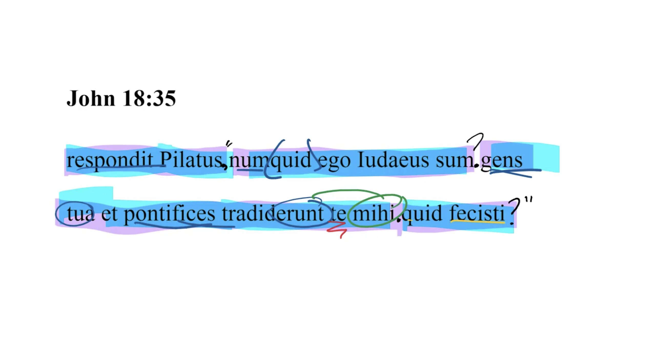 John 18:35 Latin Vulgate