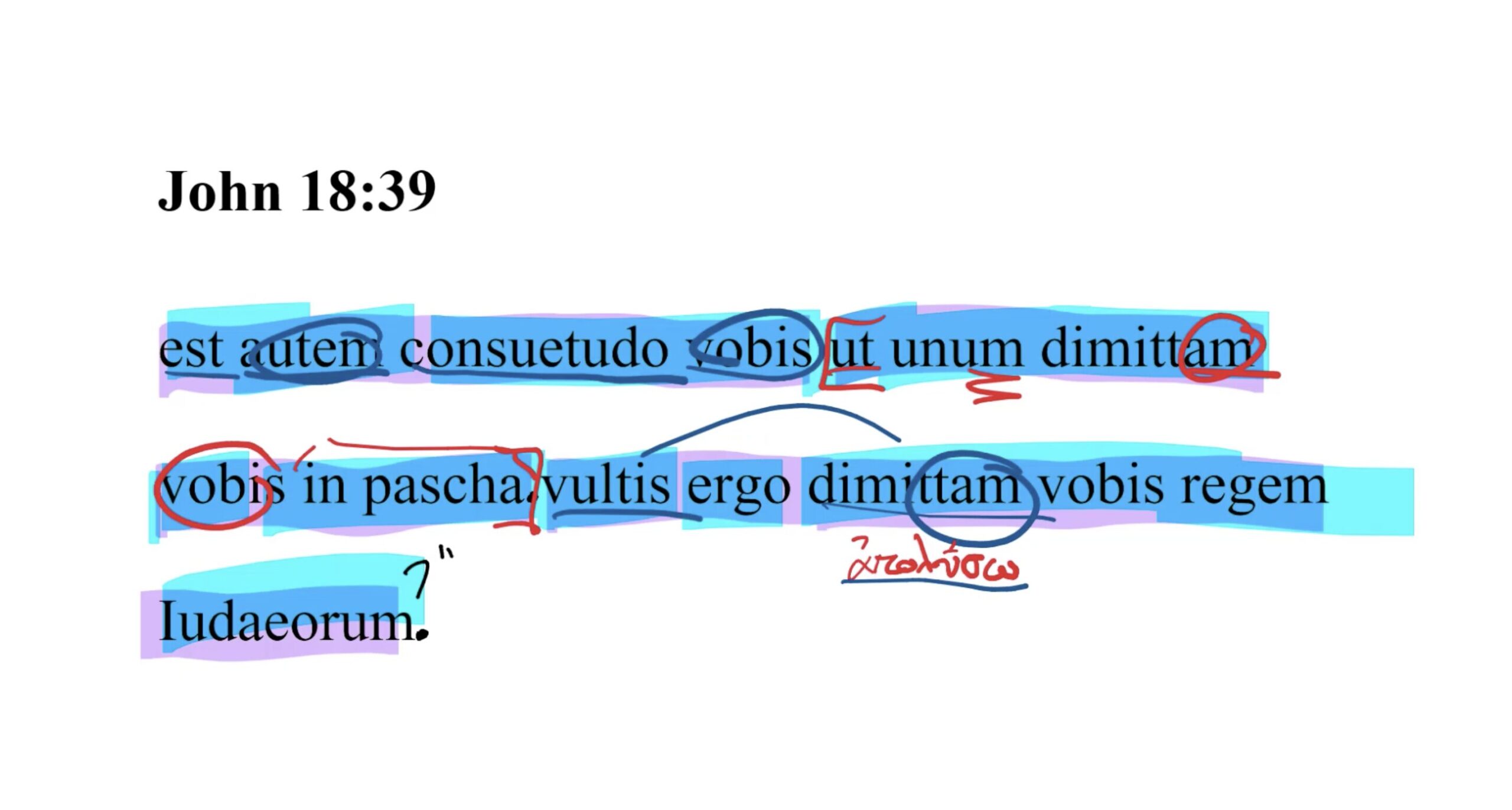 John 18:39 Latin Vulgate