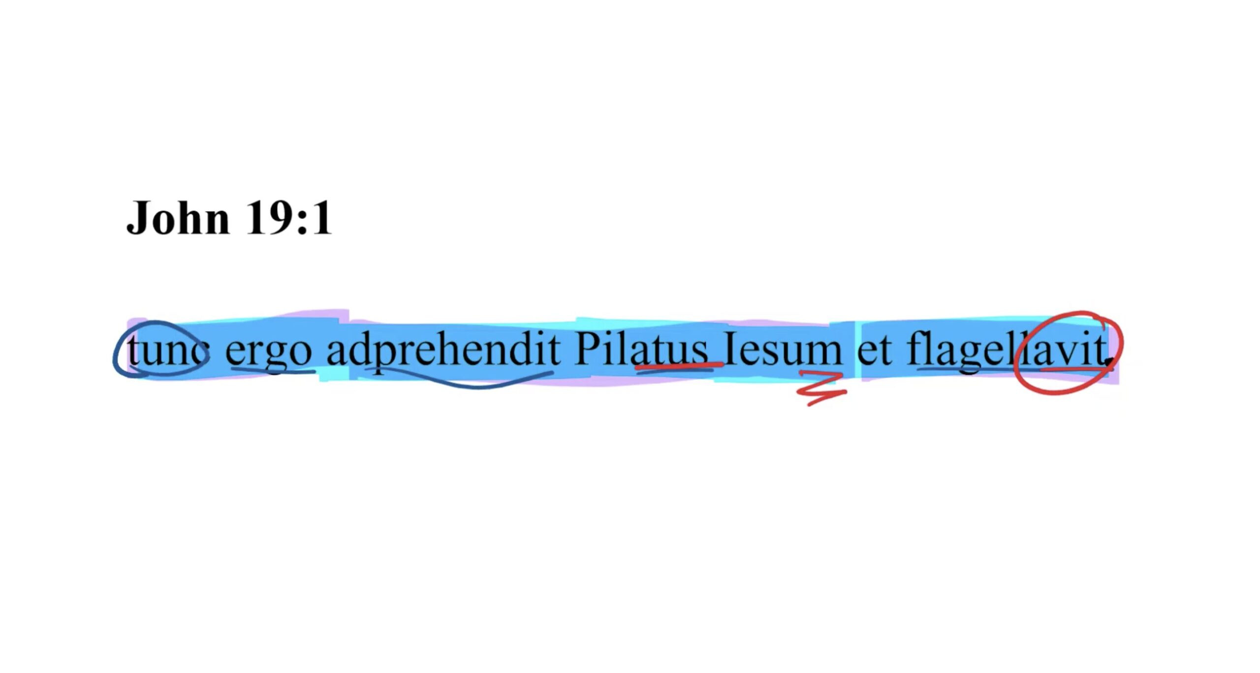 John 19:1 Latin Vulgate