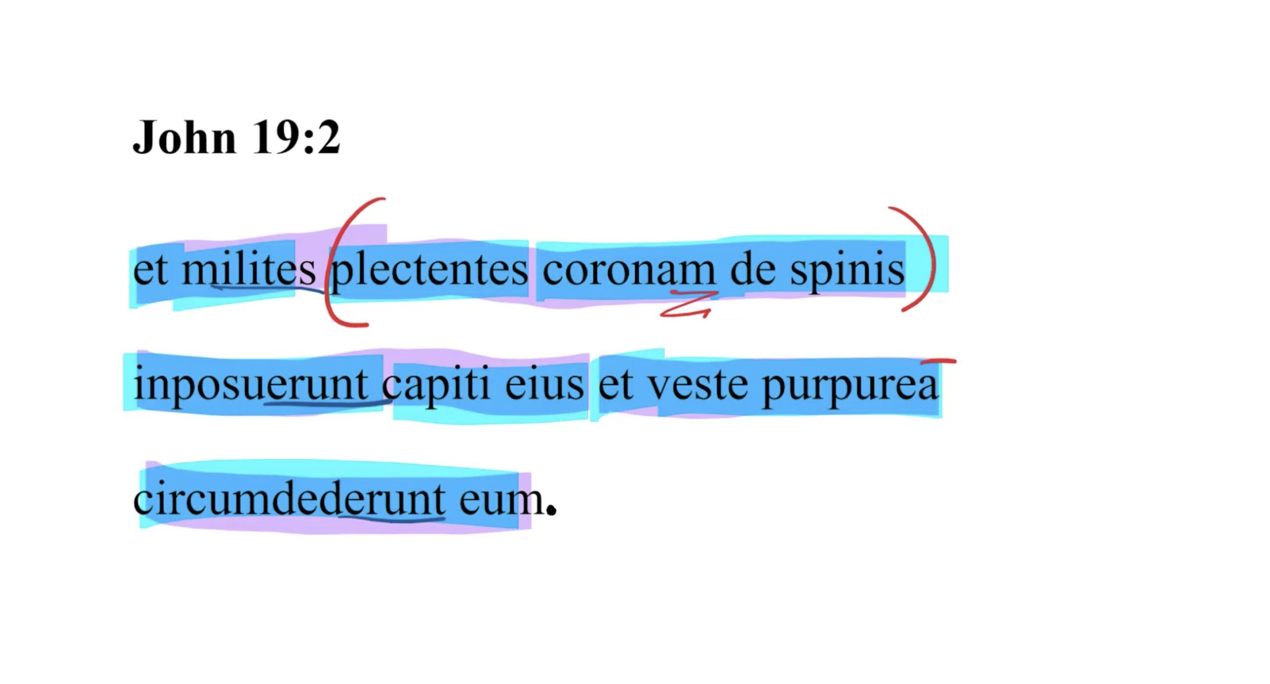 John 19:2 Latin Vulgate