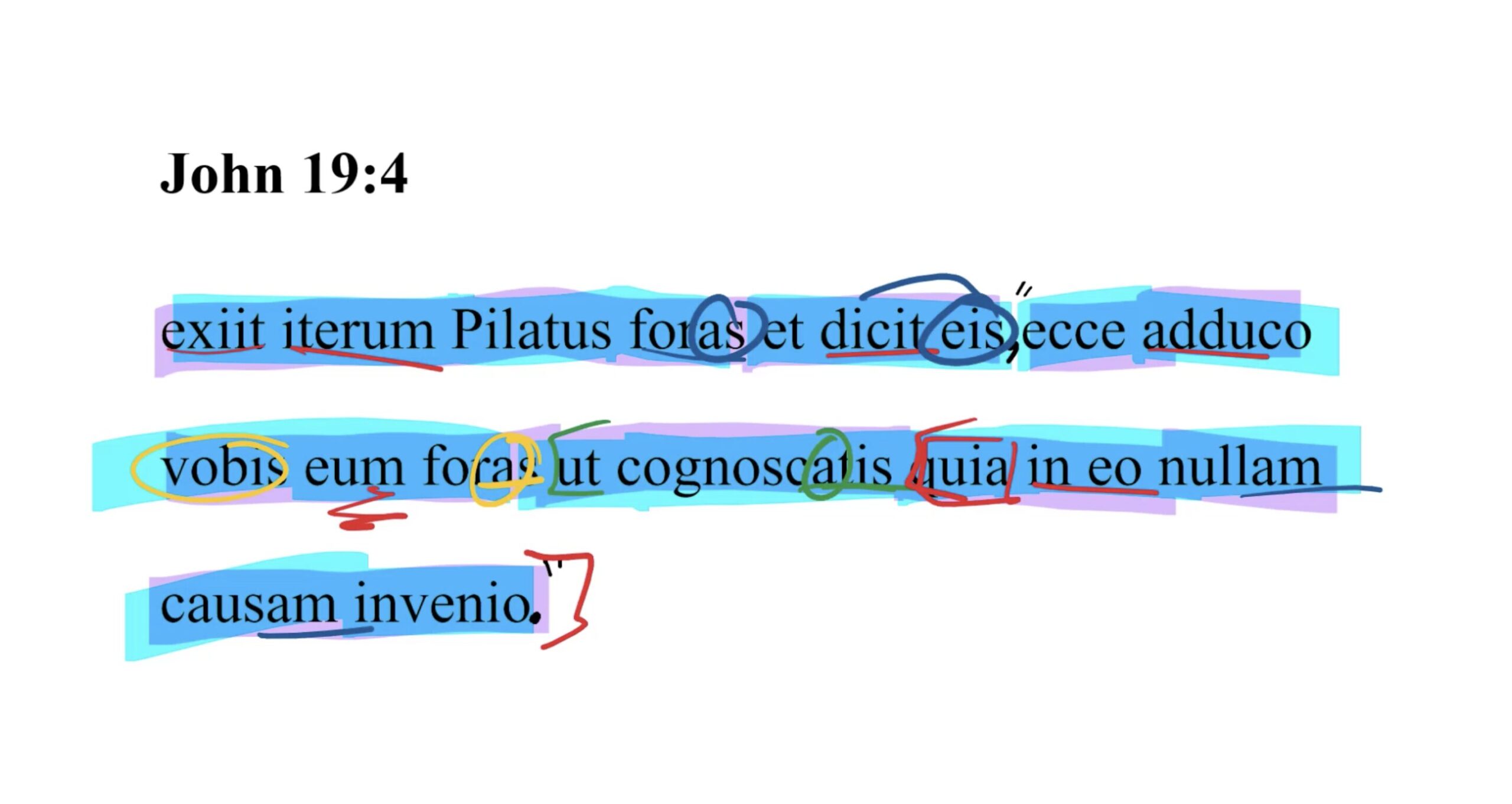 John 19:4 Latin Vulgate
