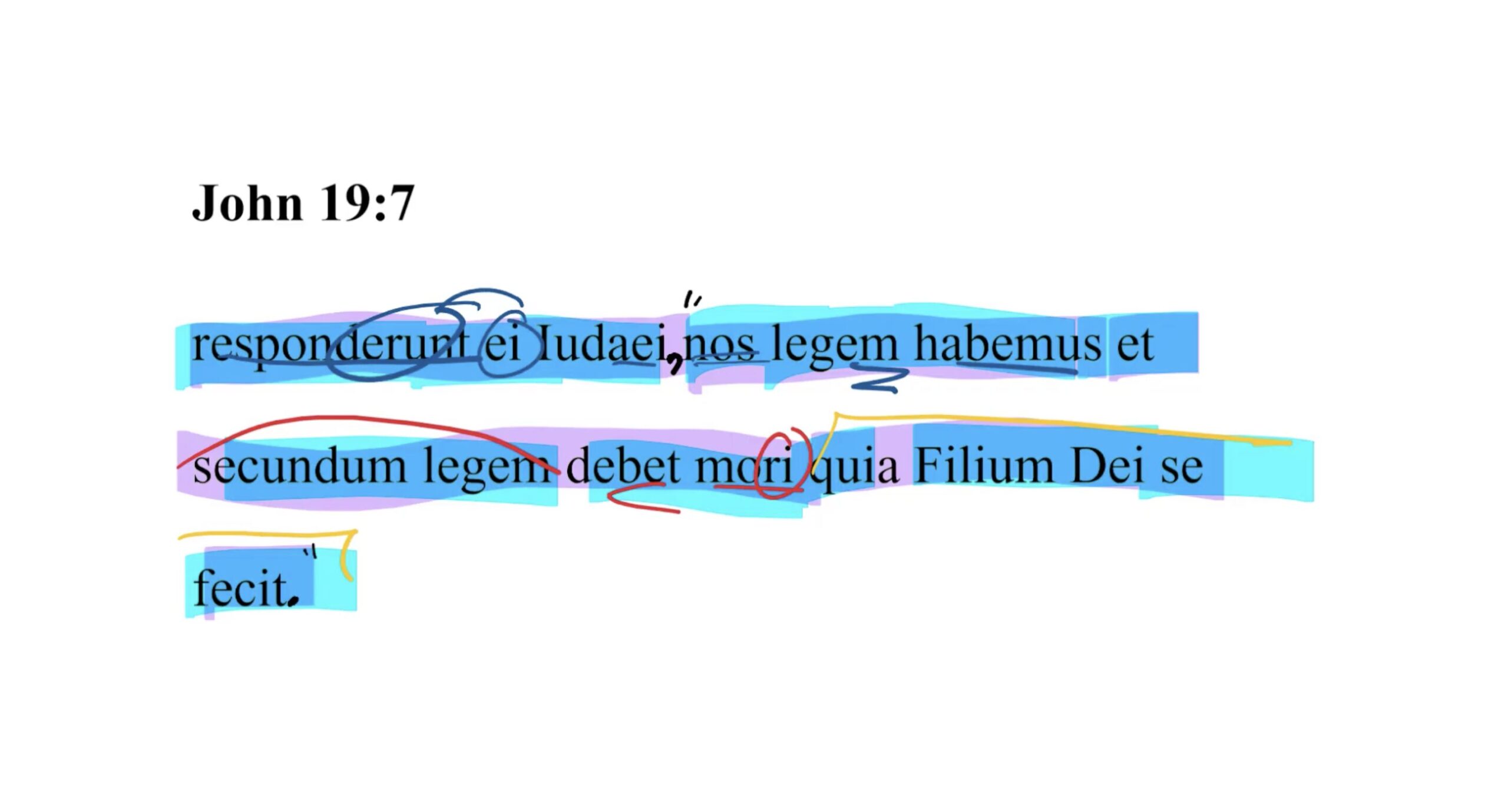 John 19:7 Latin Vulgate