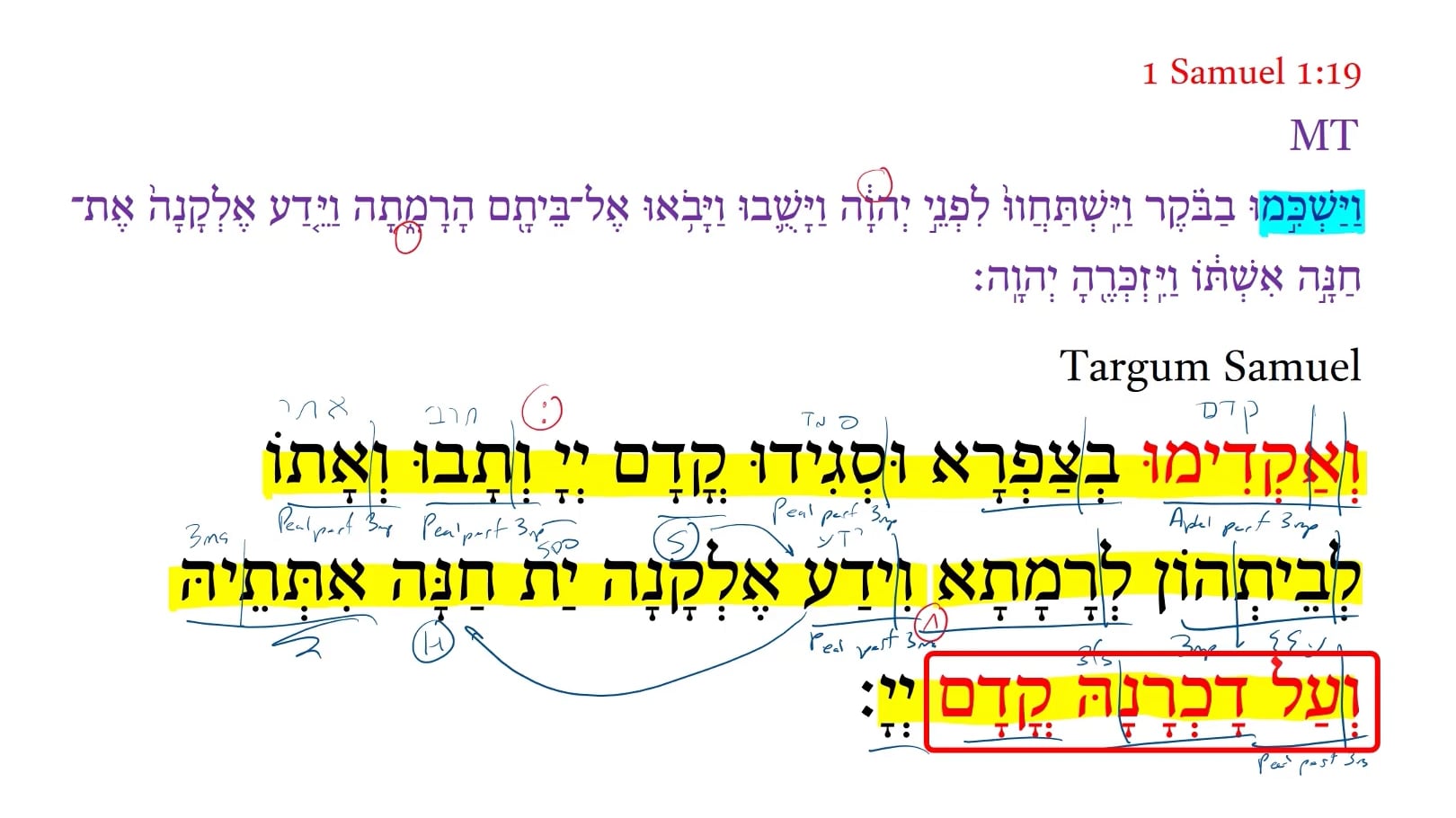 Targum 1 Samuel 1:19b