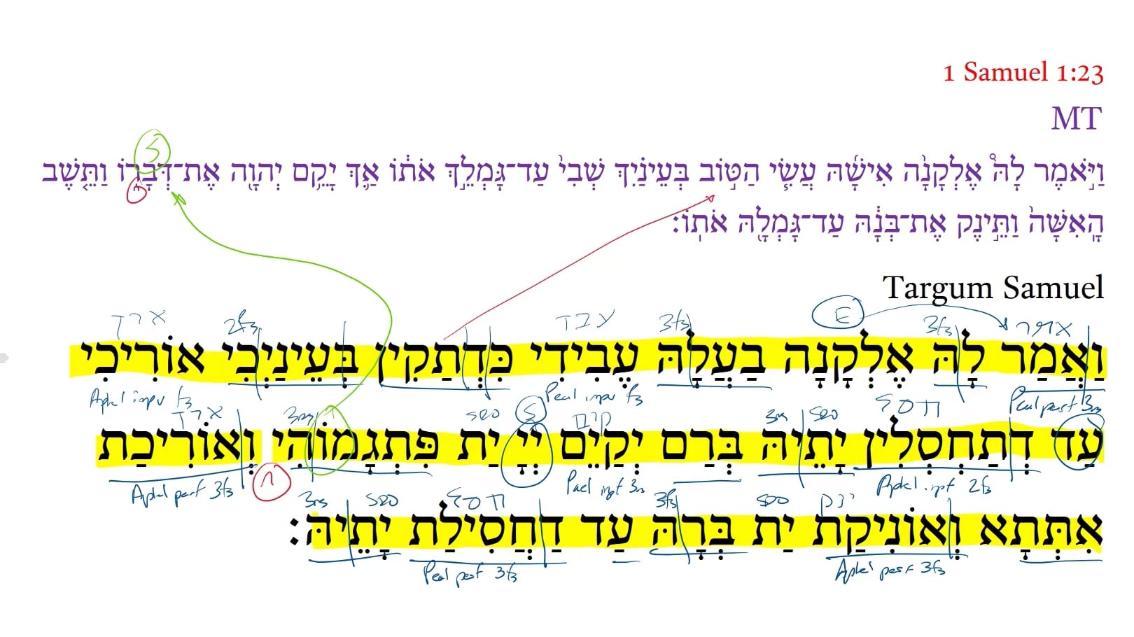 Targum 1 Samuel 1:23b