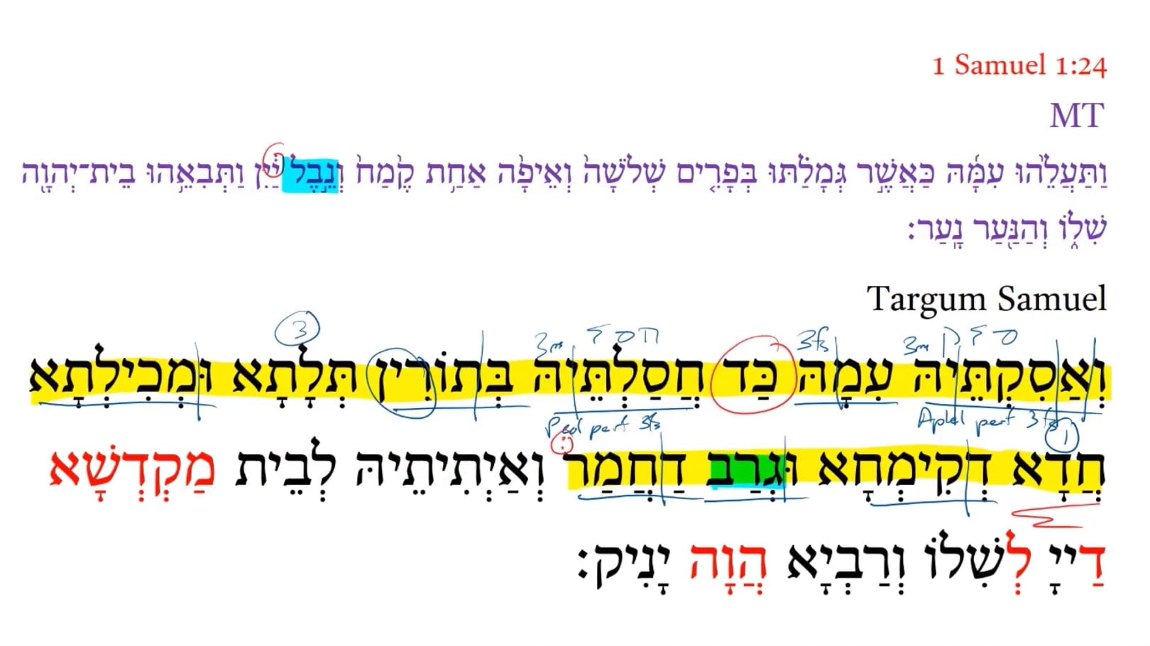 Targum 1 Samuel 1:24a