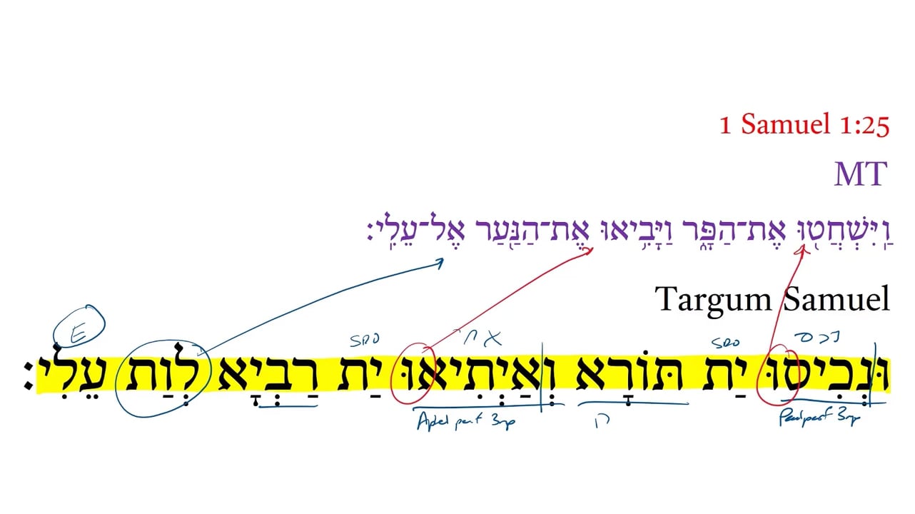 Targum 1 Samuel 1:25