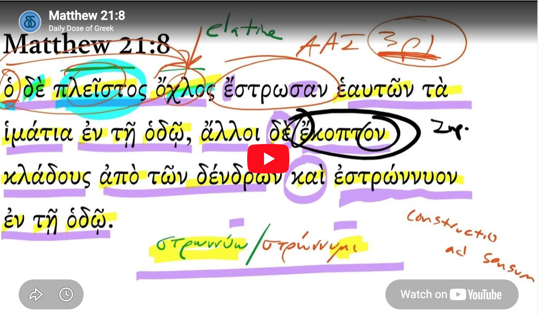Matthew 21:8
