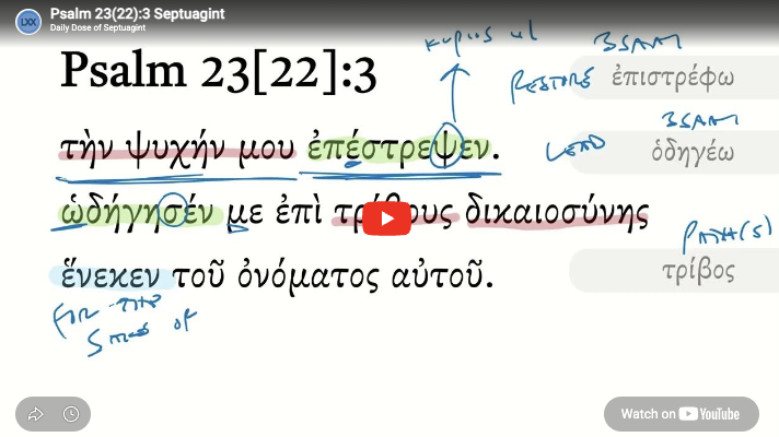 Psalm 23(22):3 Septuagint