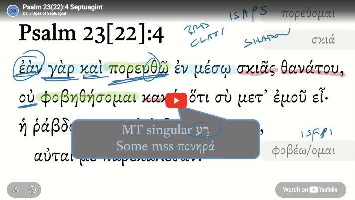 Psalm 23(22):4 Septuagint