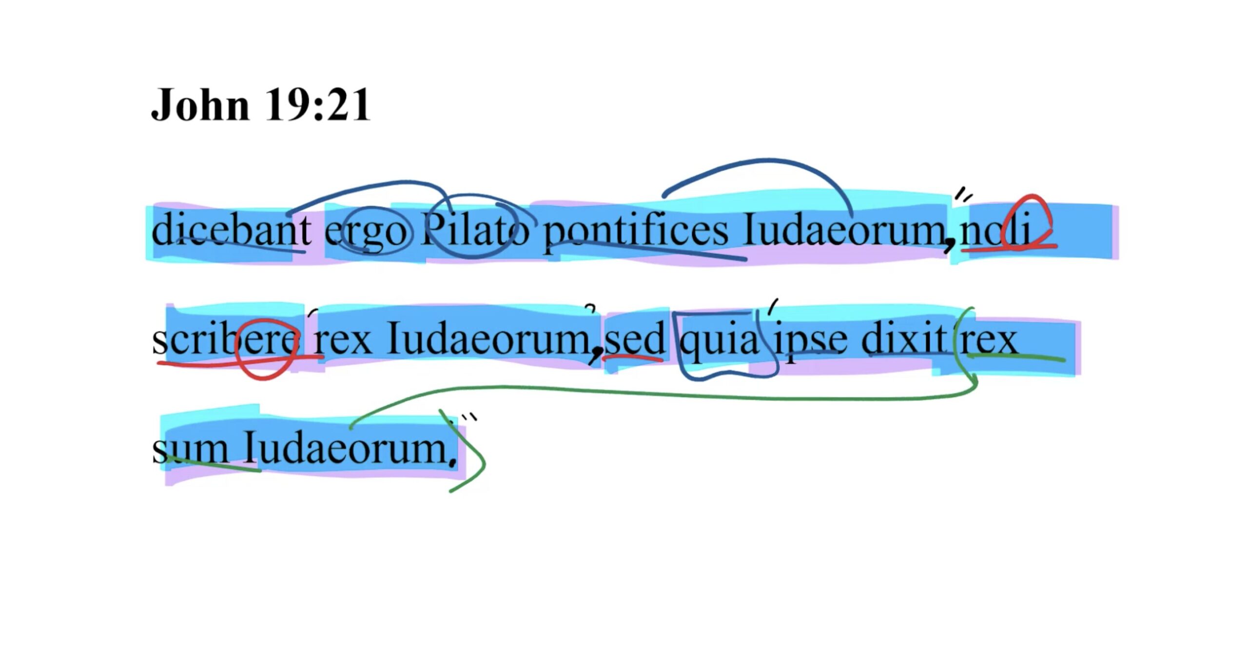 John 19:21 Latin Vulgate