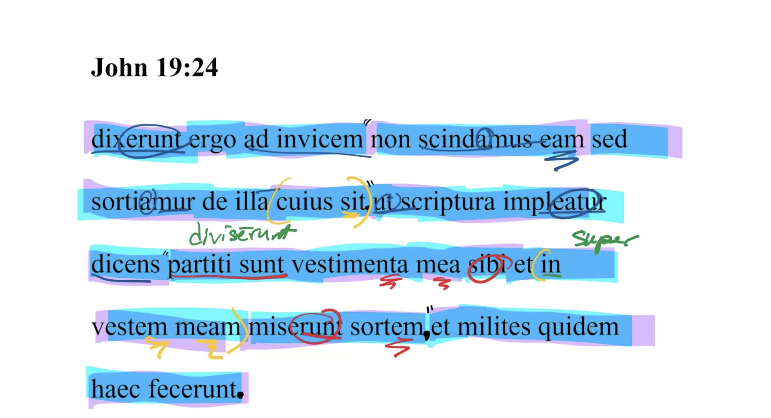 John 19:24 Latin Vulgate