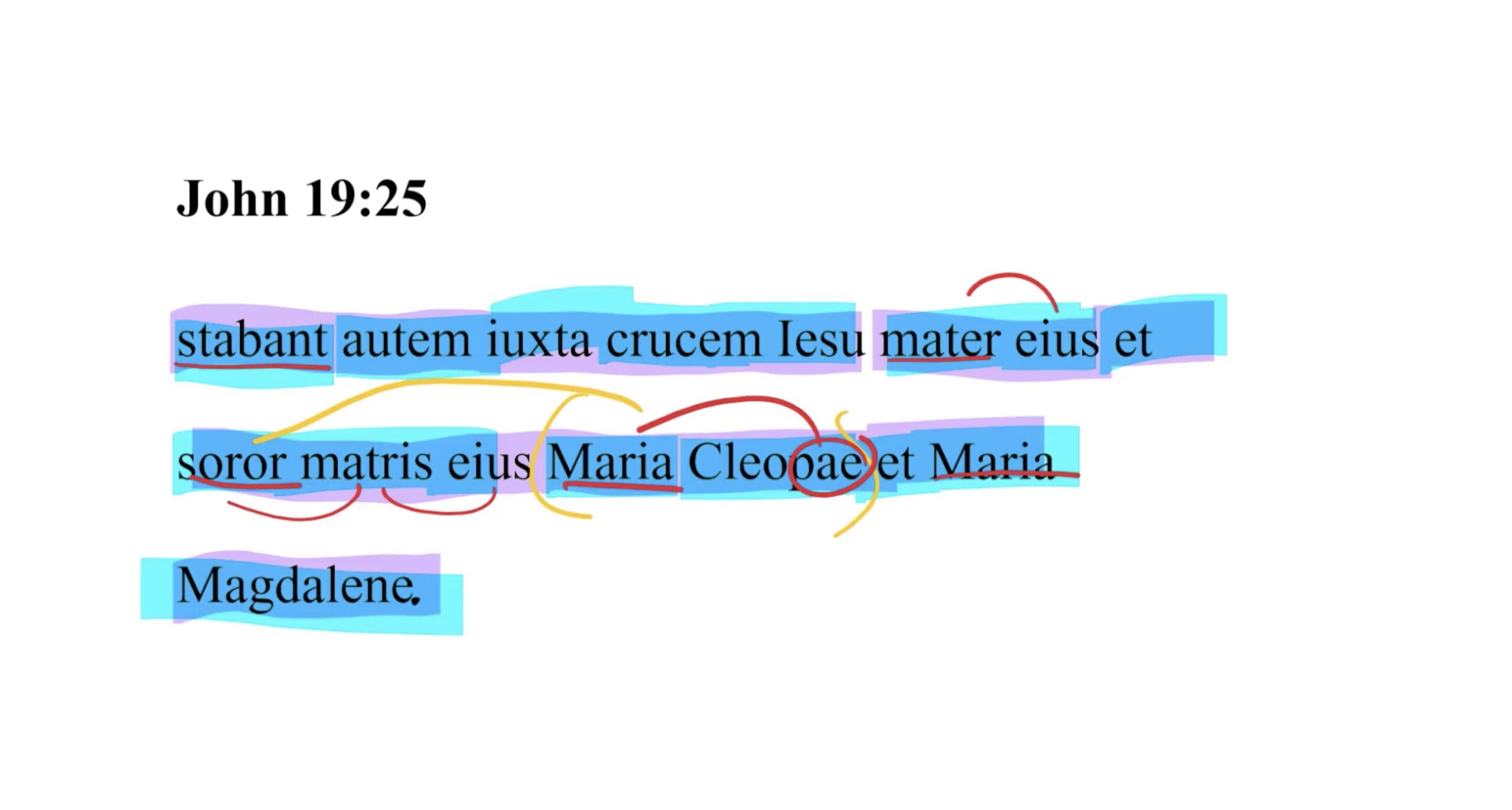 John 19:25 Latin Vulgate