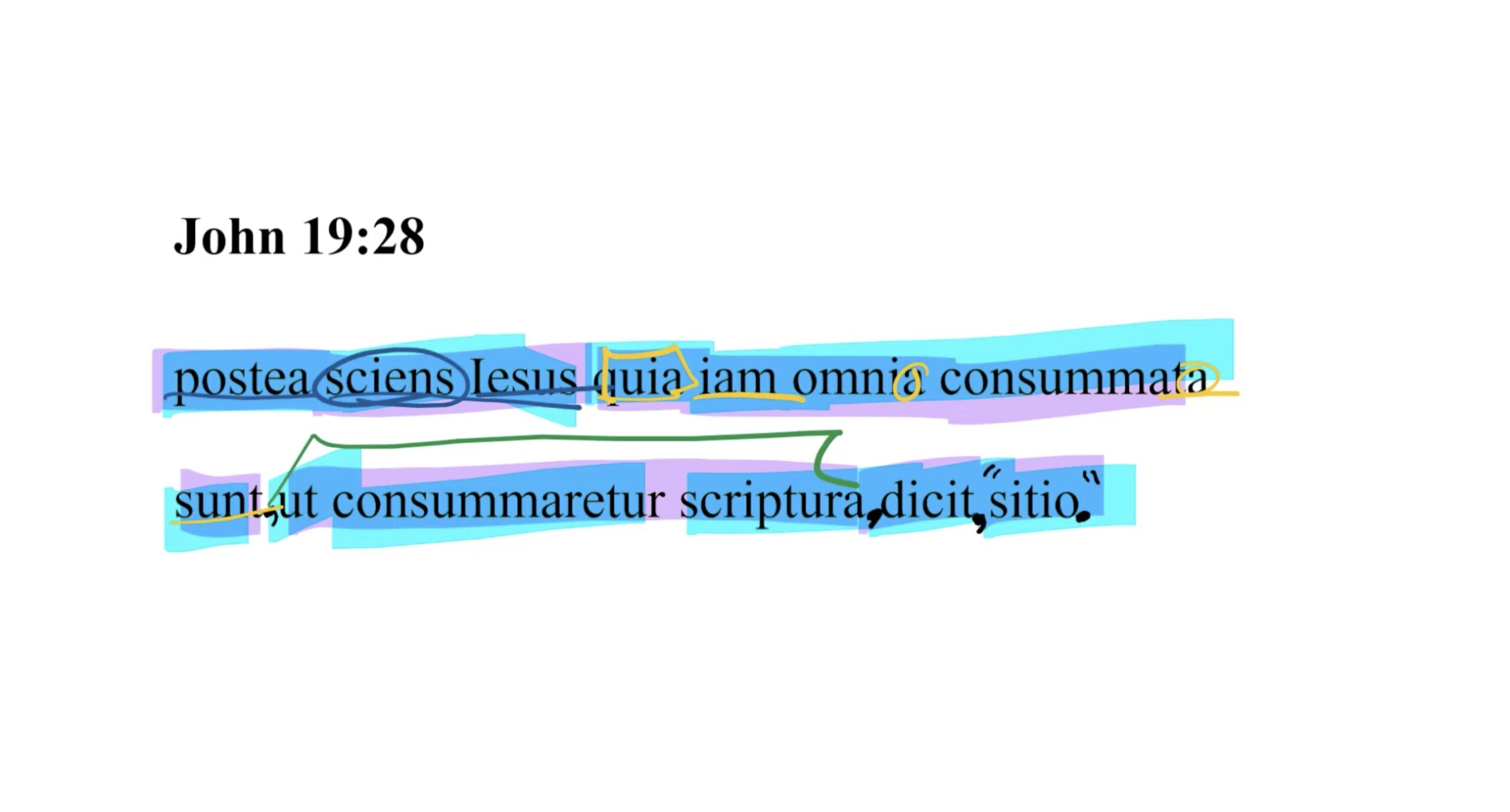 John 19:28 Latin Vulgate