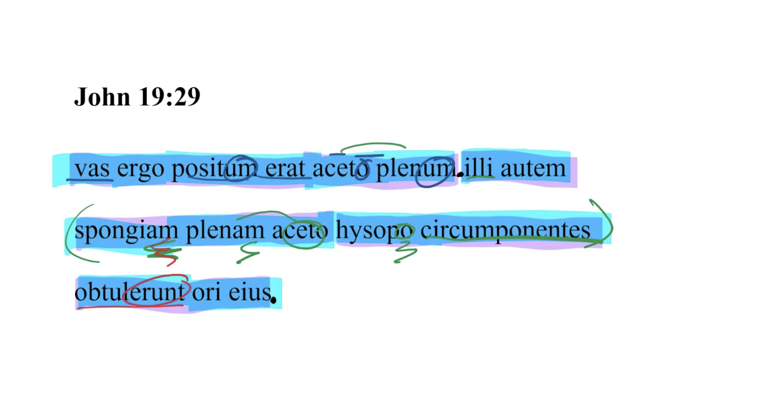 John 19:29 Latin Vulgate