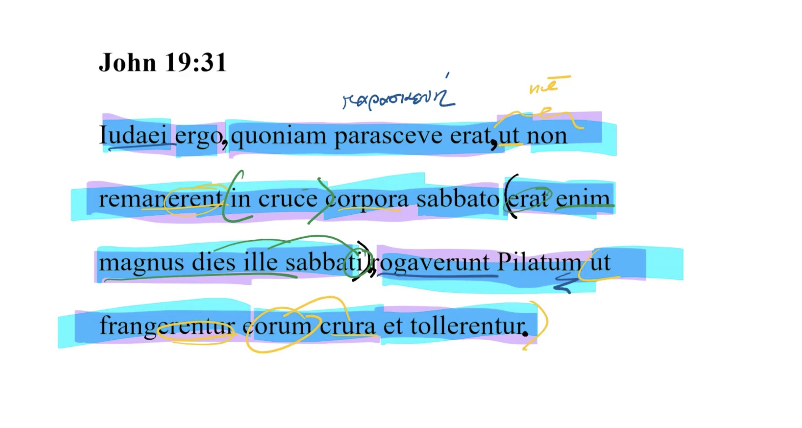 John 19:31 Latin Vulgate