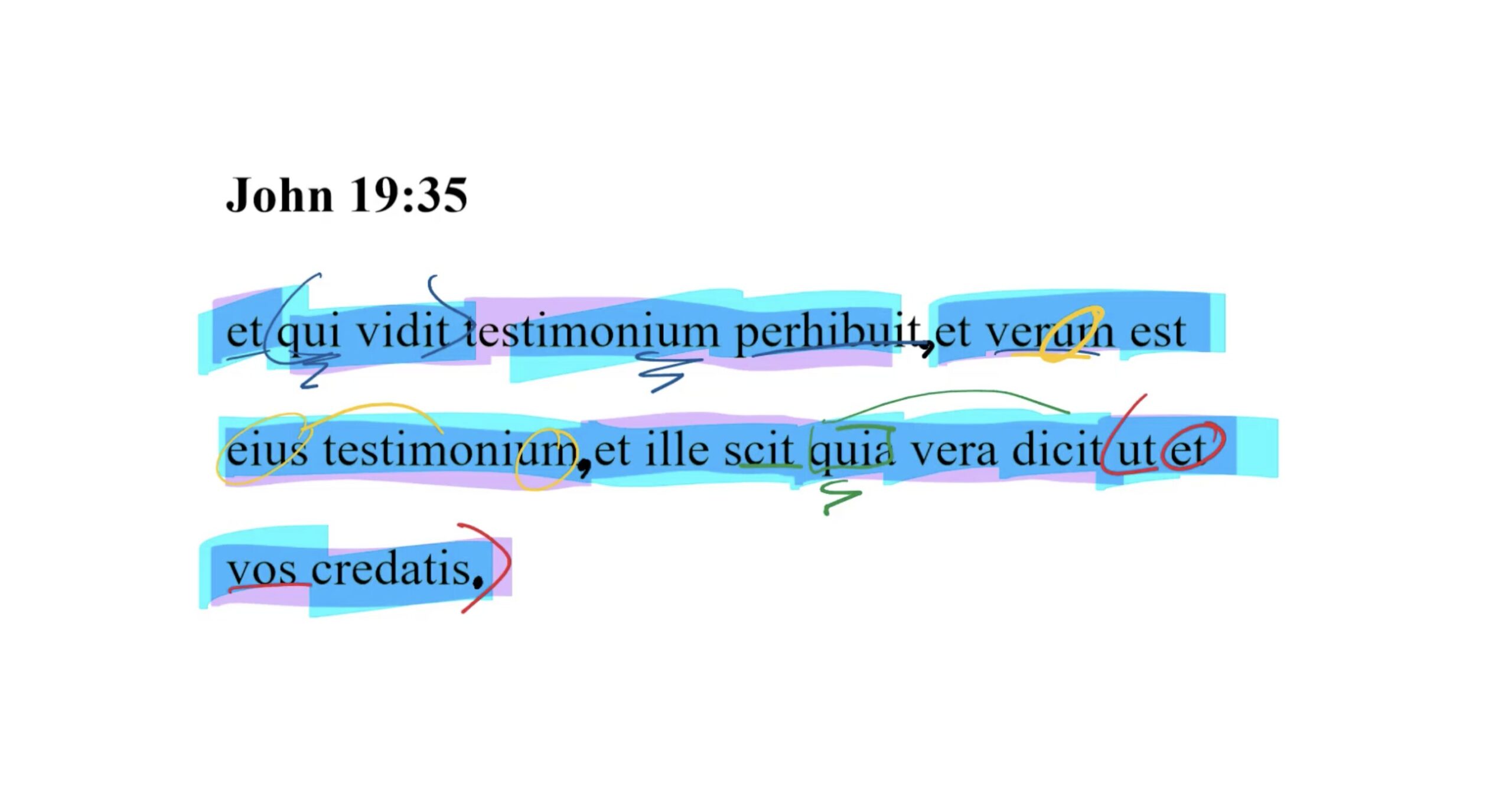 John 19:35 Latin Vulgate