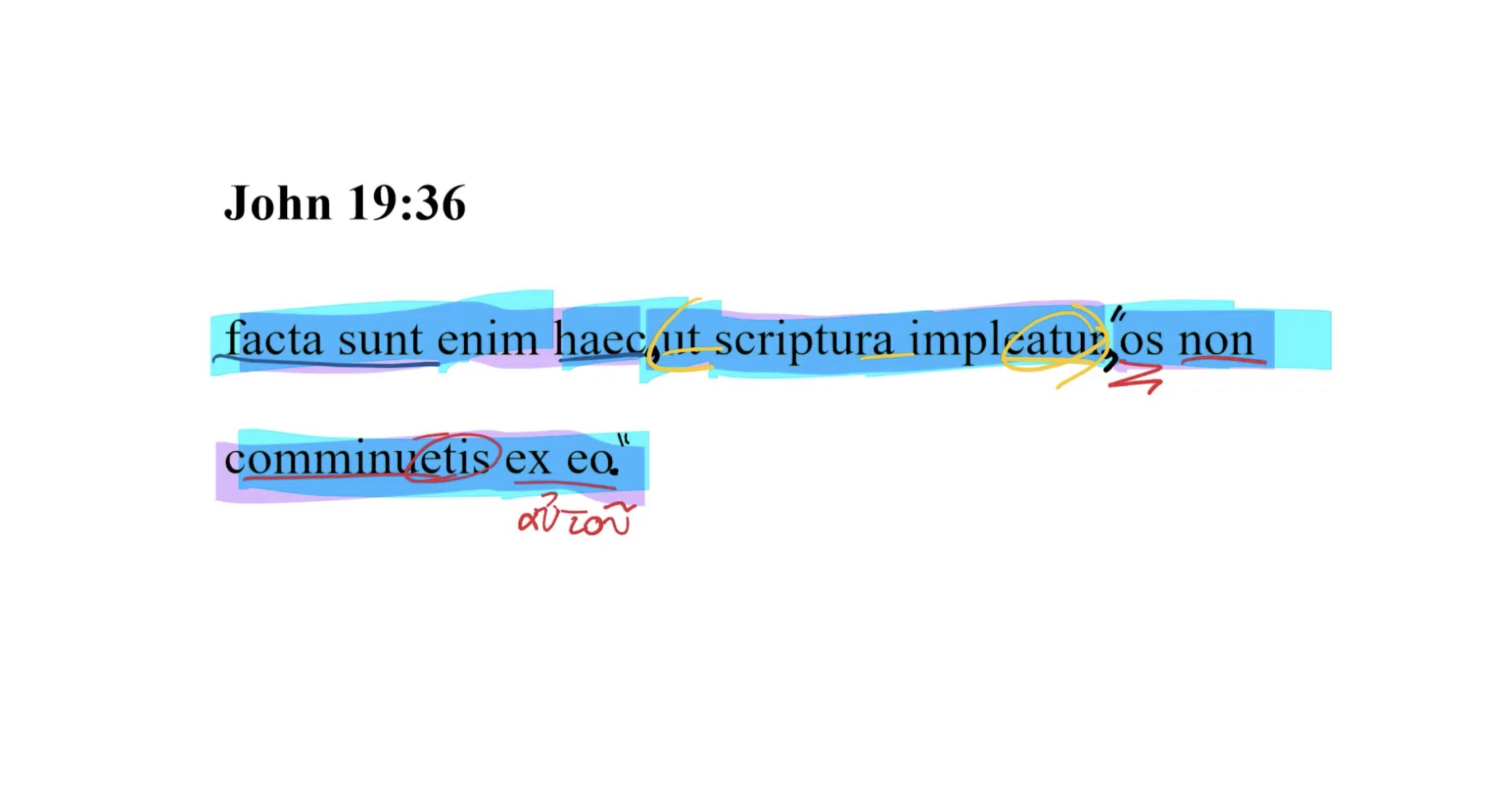 John 19:36 Latin Vulgate