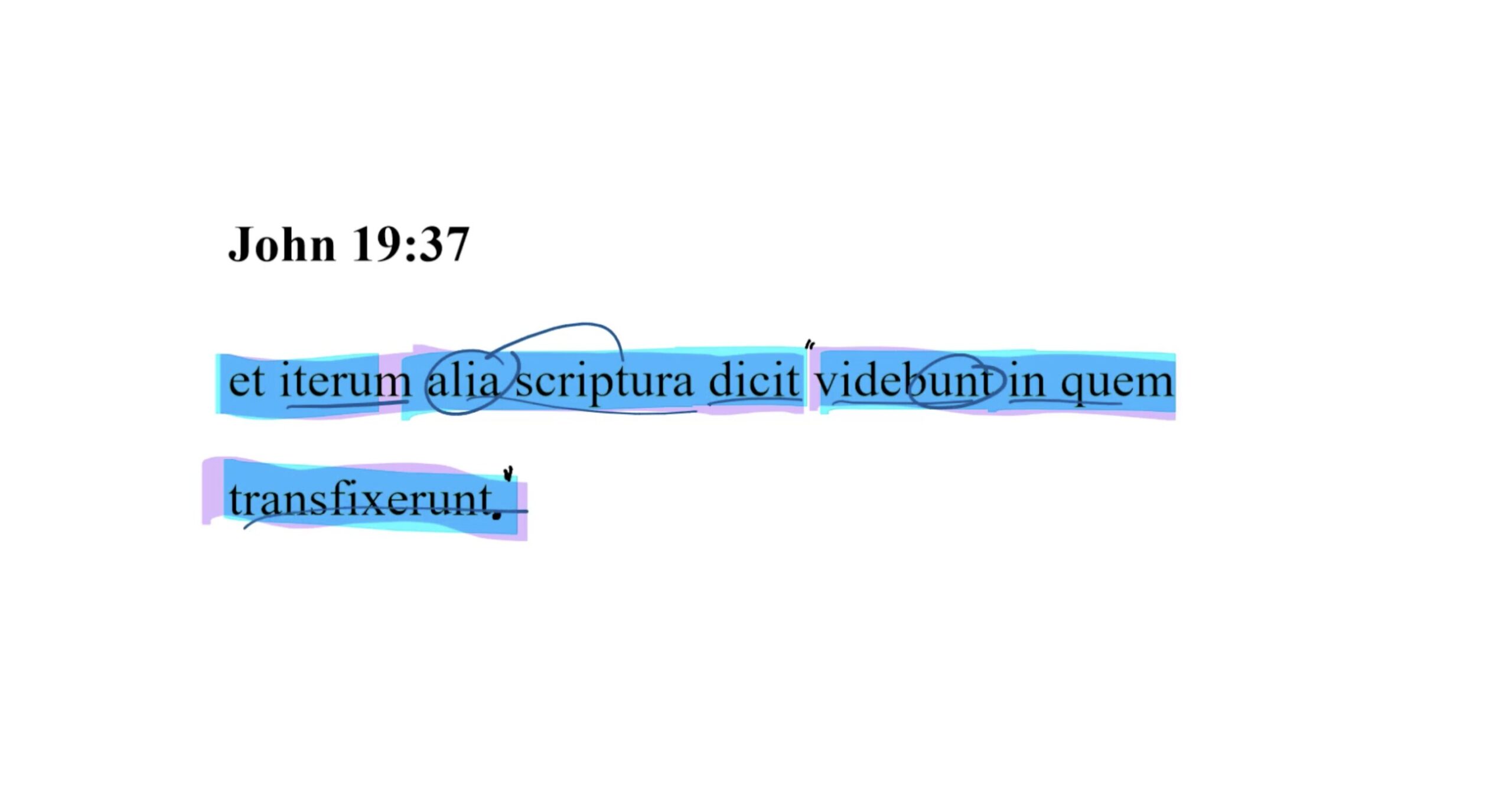 John 19:37 Latin Vulgate