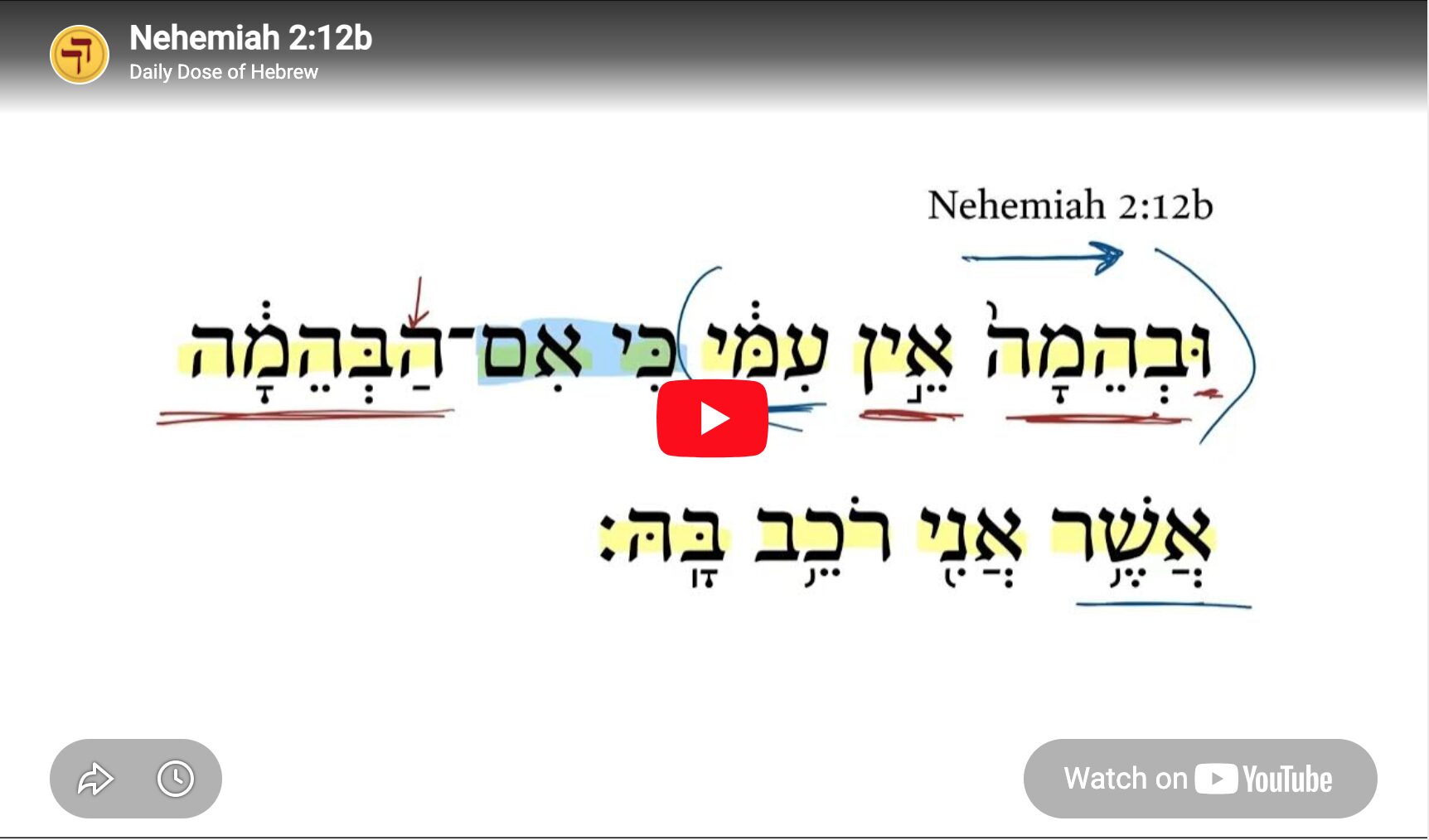 Nehemiah 2:12b