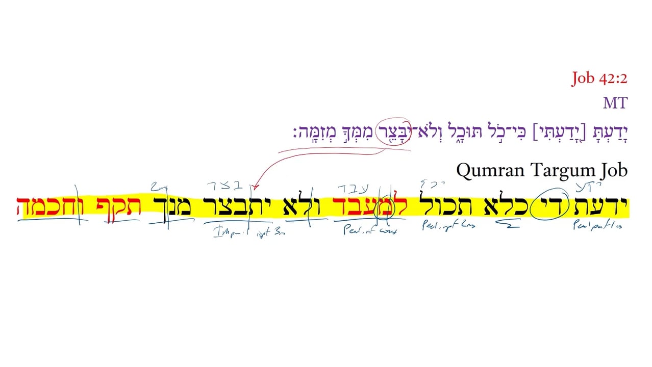Qumran Targum Job 42:2a