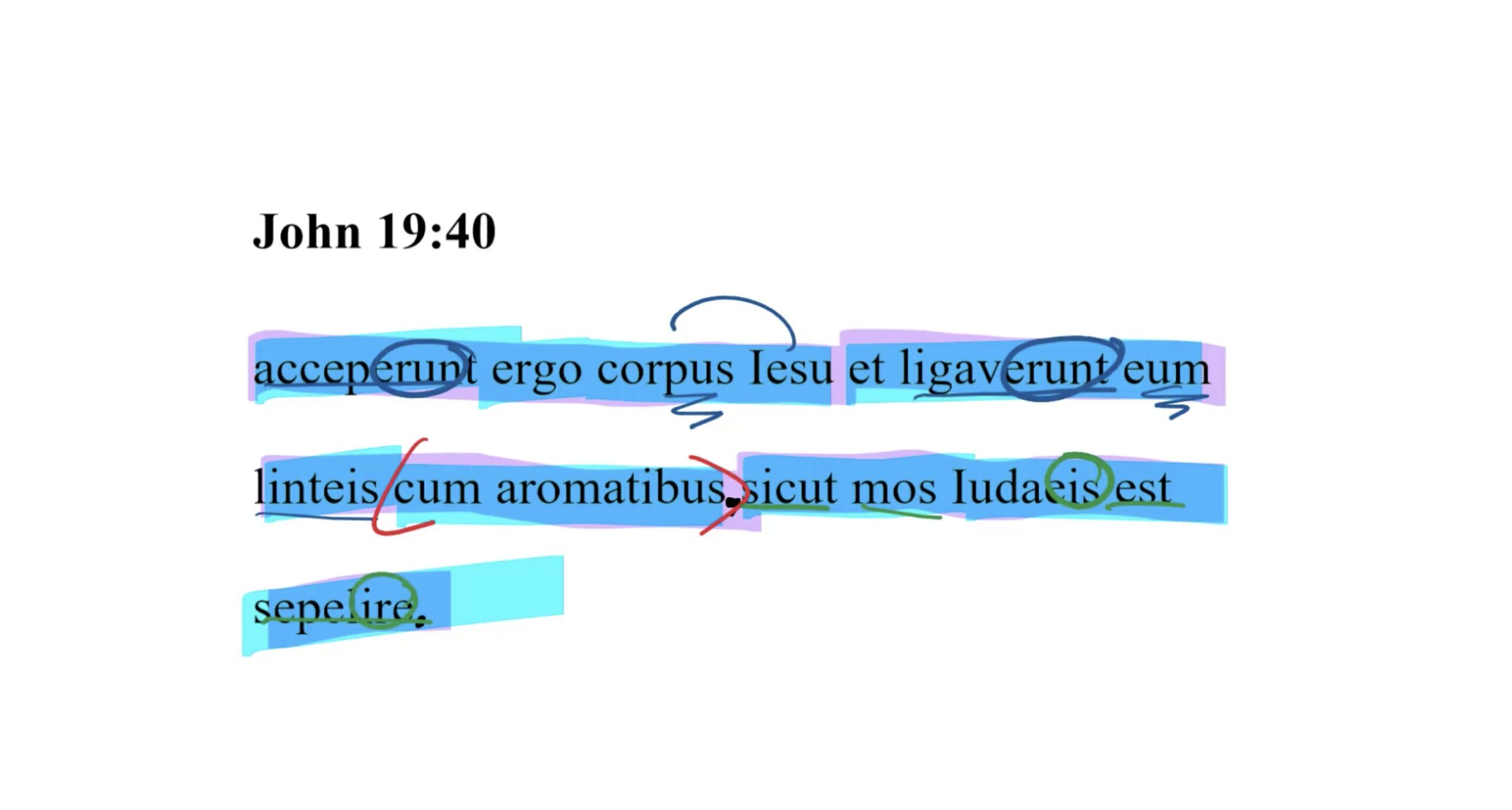 John 19:40 Latin Vulgate