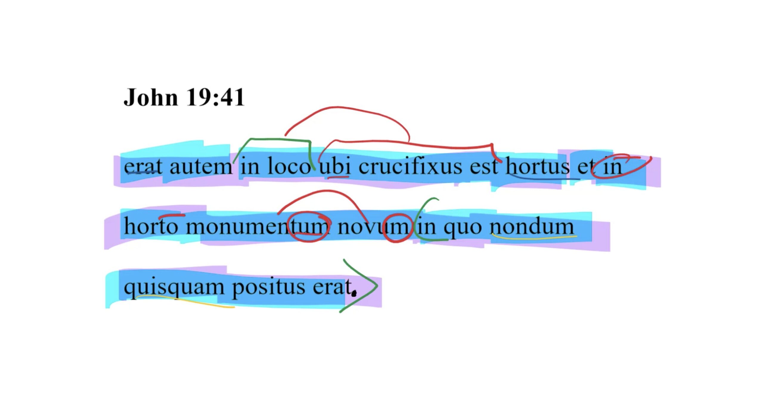 John 19:41 Latin Vulgate