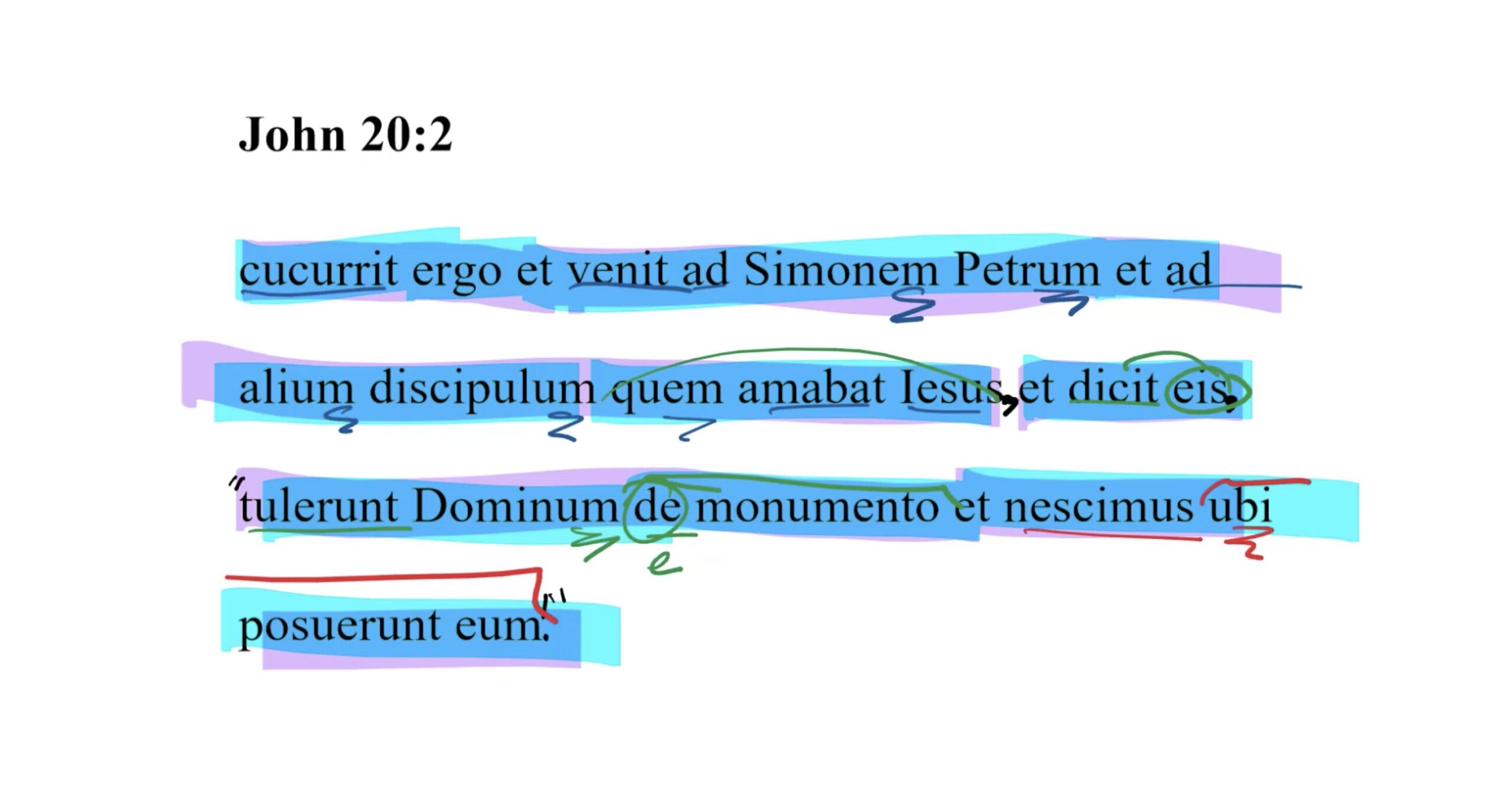 John 20:2 Latin Vulgate