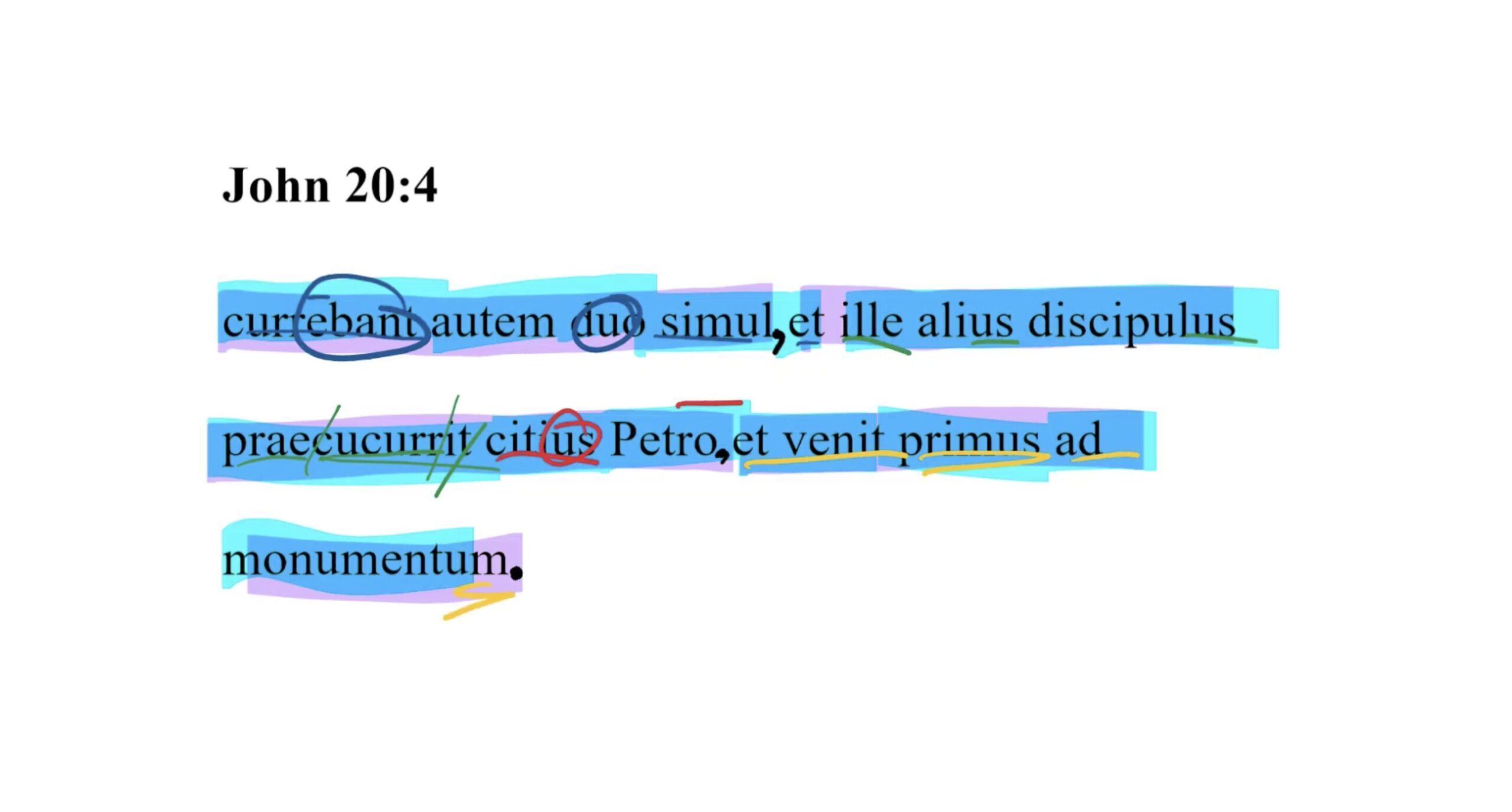 John 20:4 Latin Vulgate