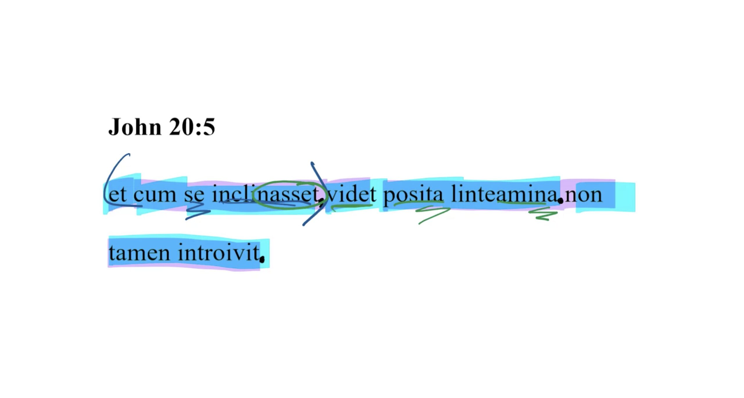 John 20:5 Latin Vulgate