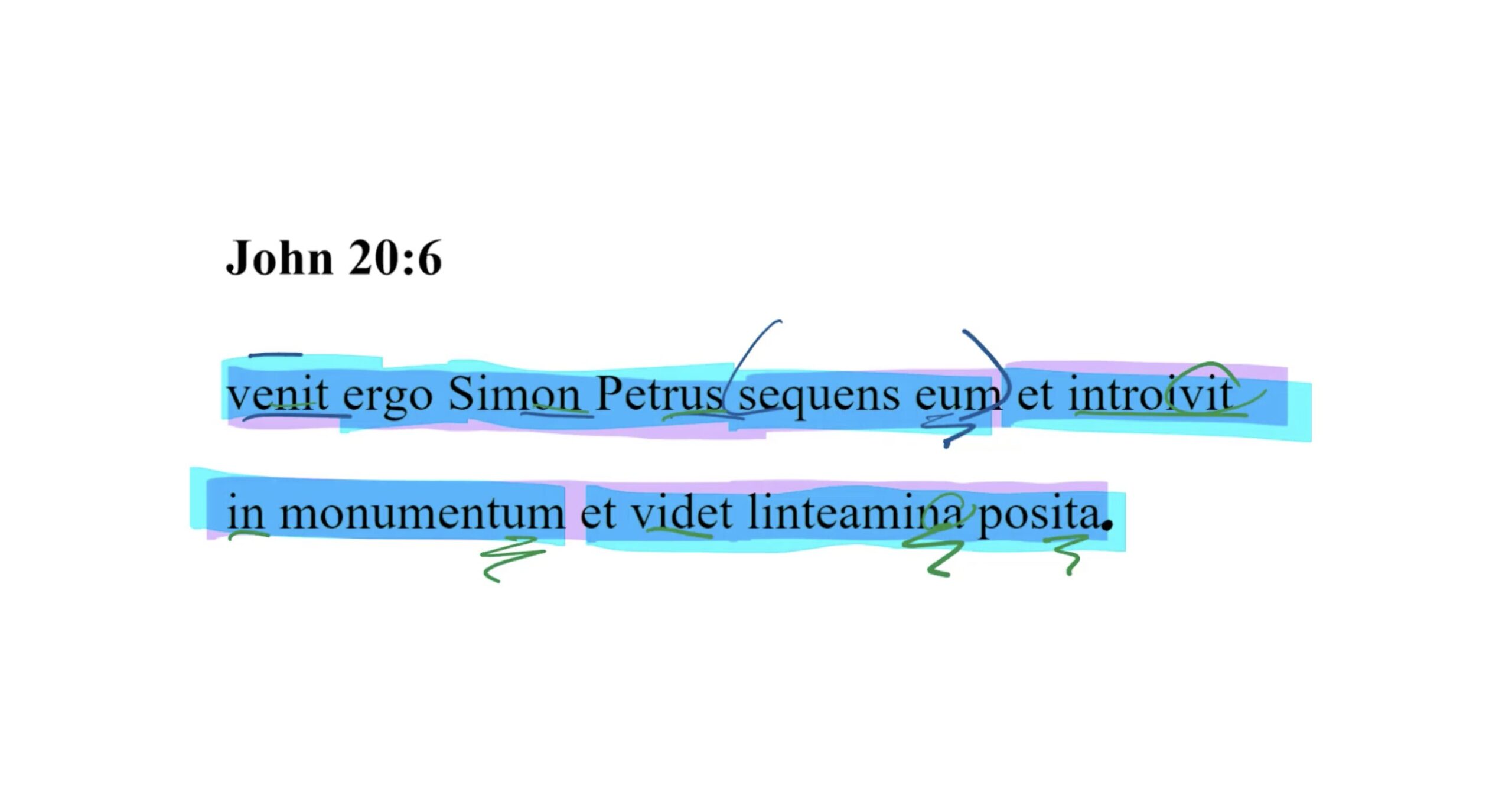 John 20:6 Latin Vulgate