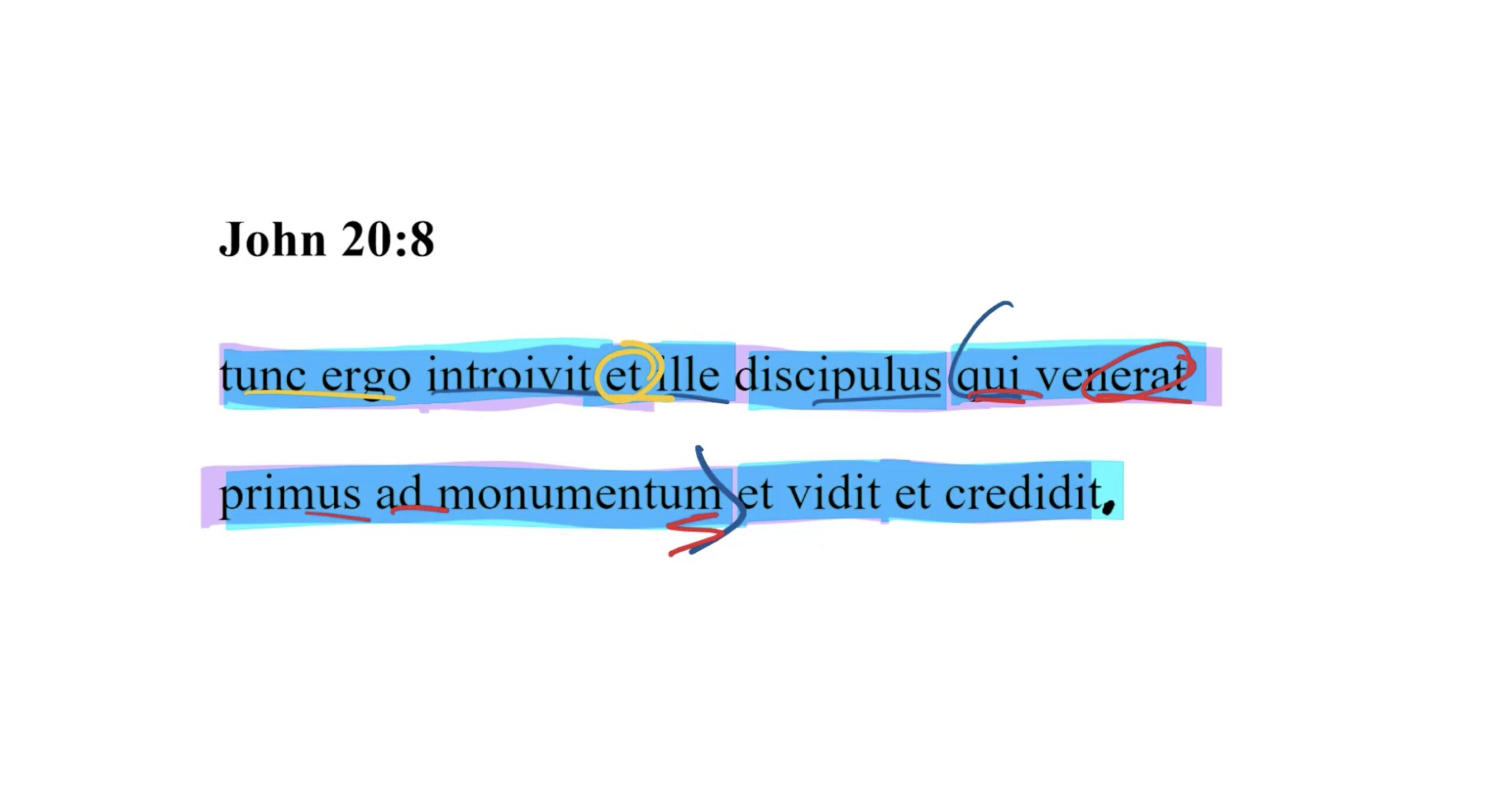 John 20:8 Latin Vulgate