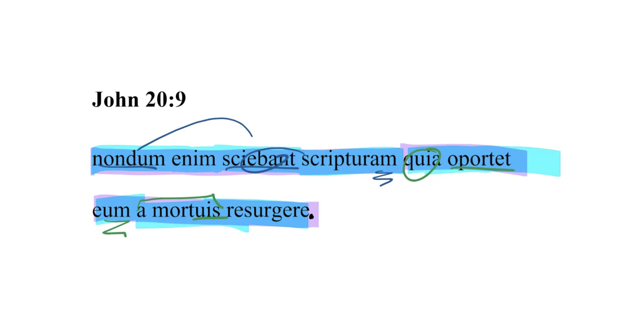 John 20:9 Latin Vulgate
