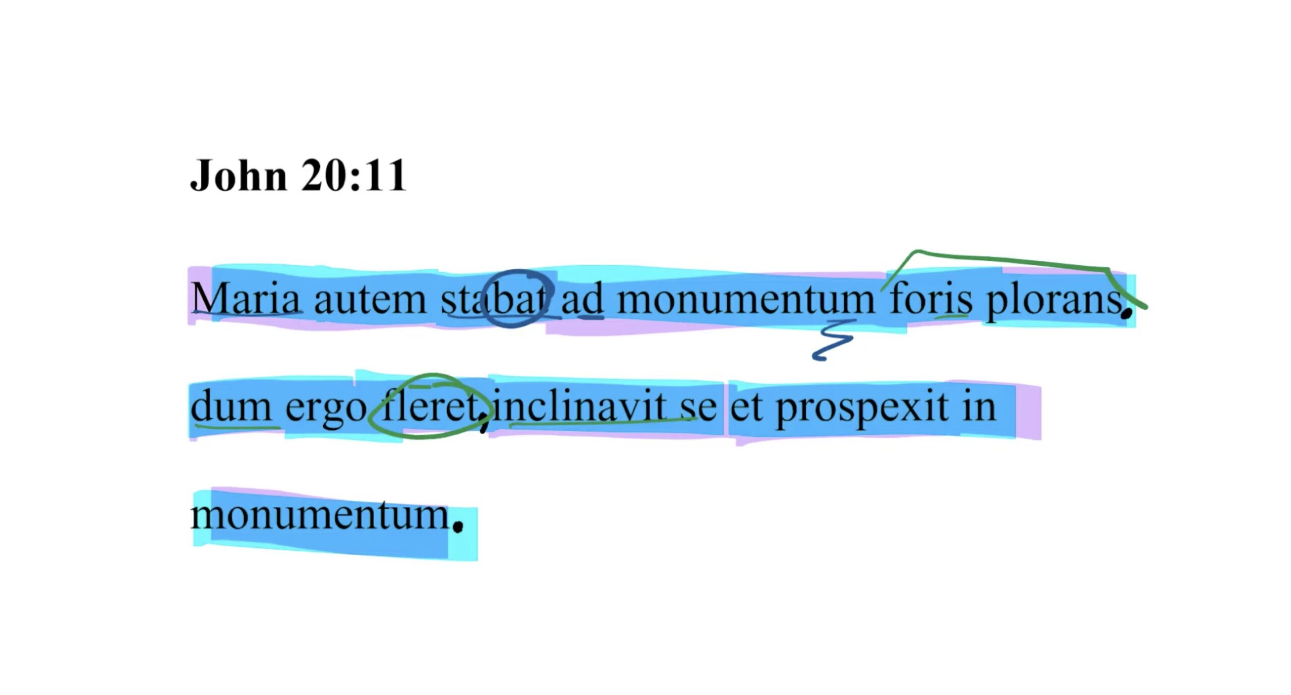 John 20:11 Latin Vulgate