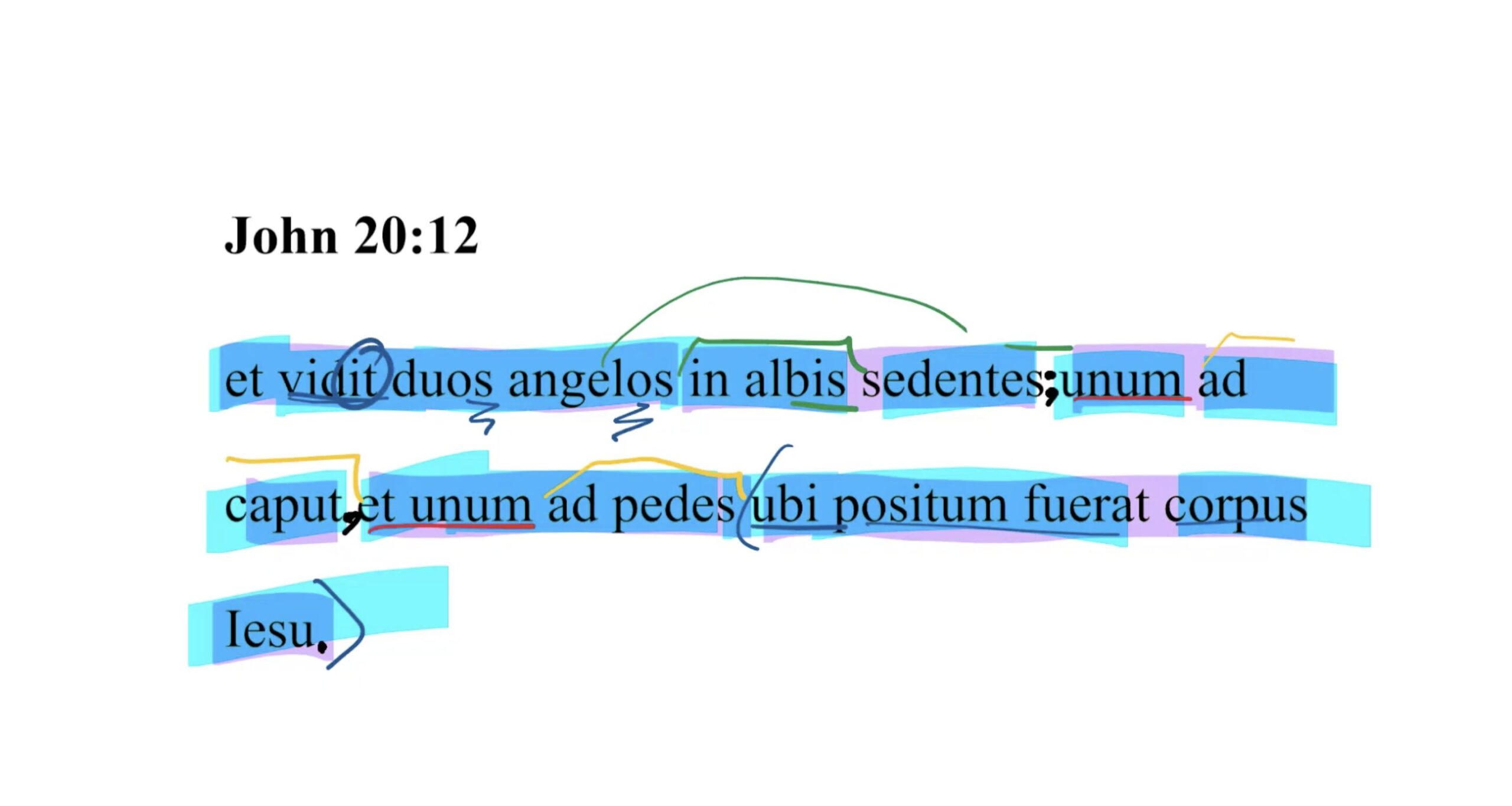 John 20:12 Latin Vulgate