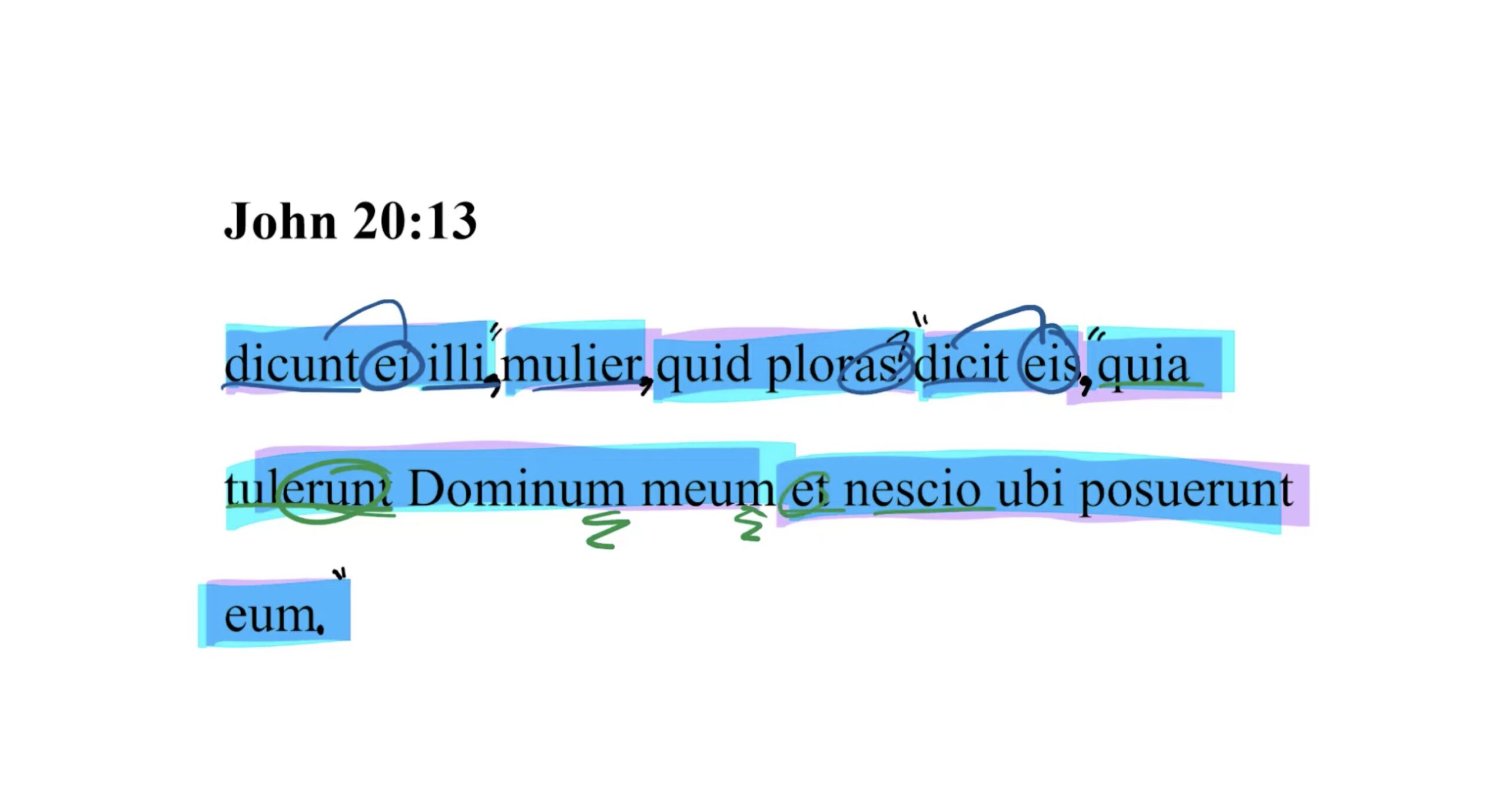 John 20:13 Latin Vulgate