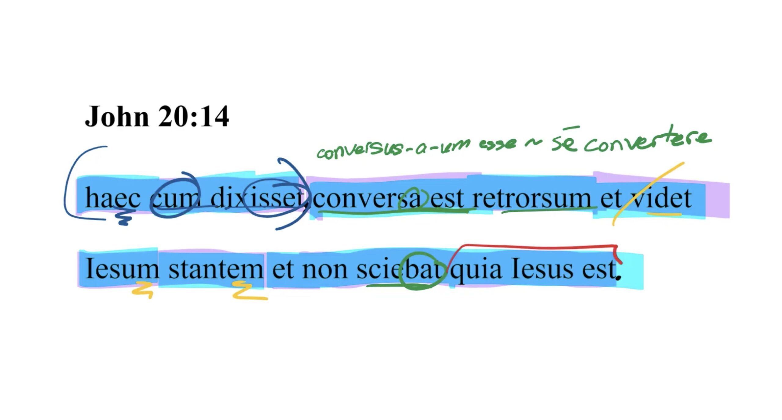 John 20:14 Latin Vulgate
