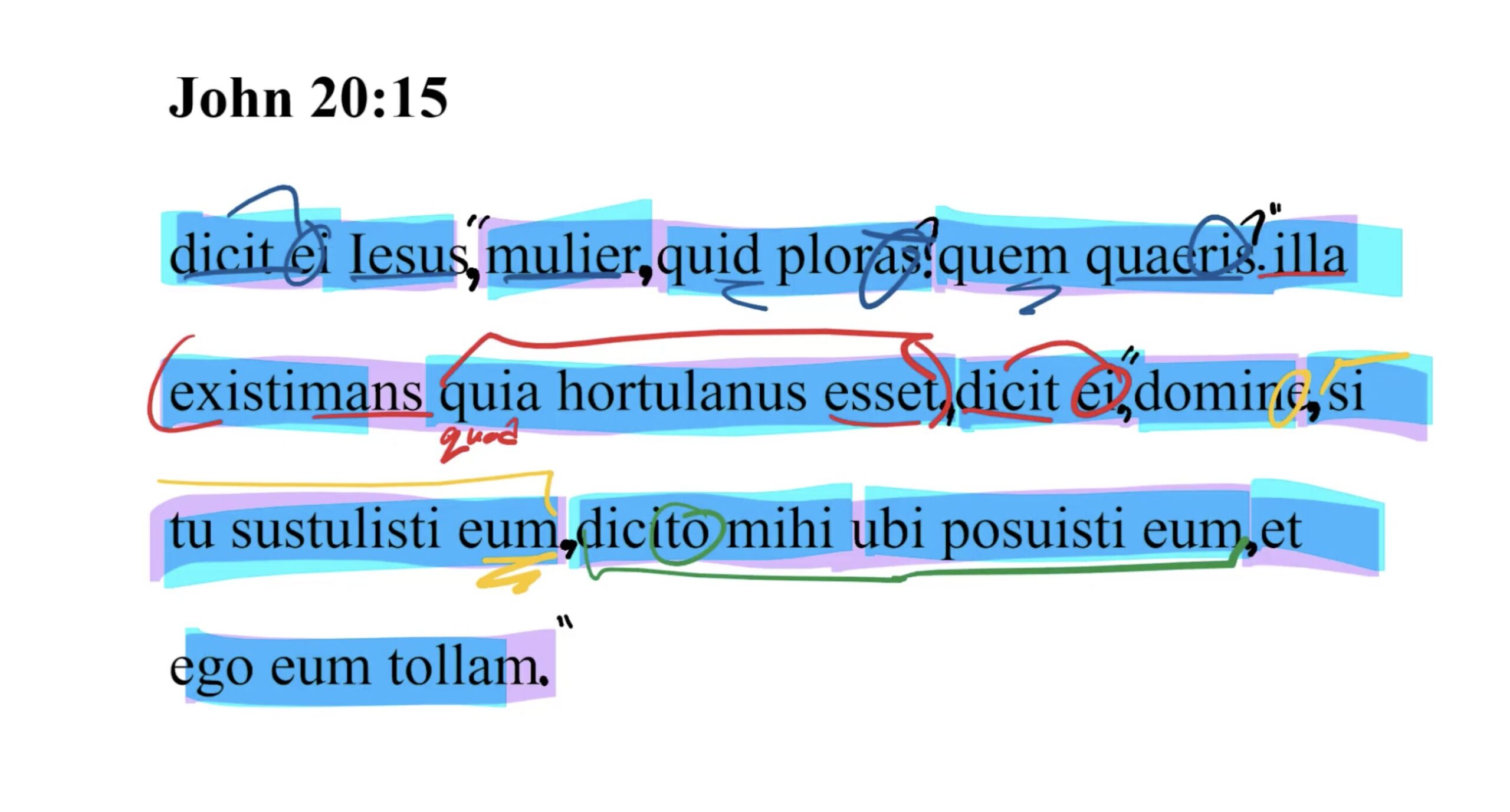 John 20:15 Latin Vulgate